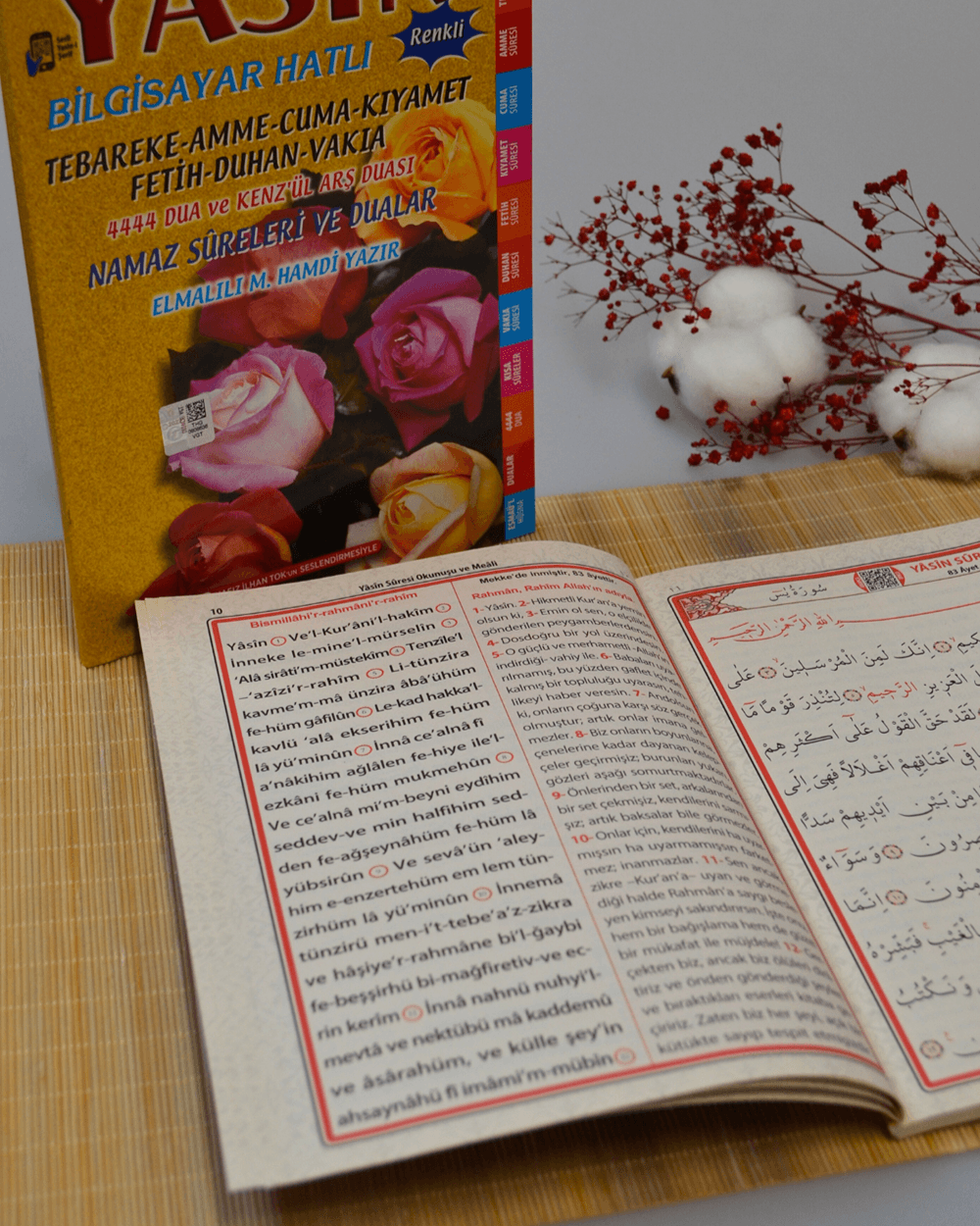 Açıklamalı ve Mealli Bilgisayar Hatlı Renkli Yasin Orta Boy