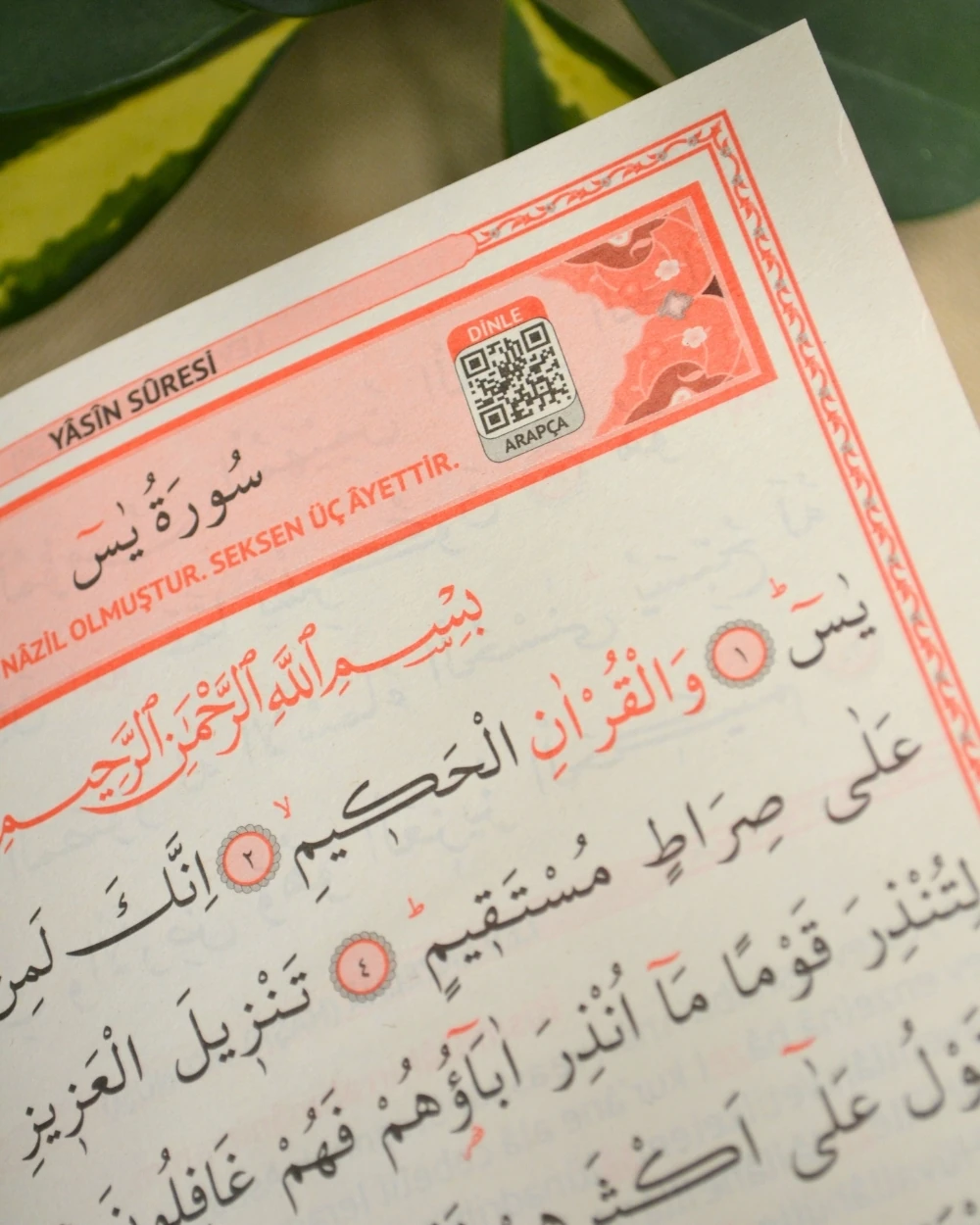 Kişiye Özel İsim Baskılı Ciltli Yasin Kitabı 80 Sayfa Orta Boy 50 Adet -Tül Keseli İnci Tesbihli Mevlüt ve Hatim Hediyesi