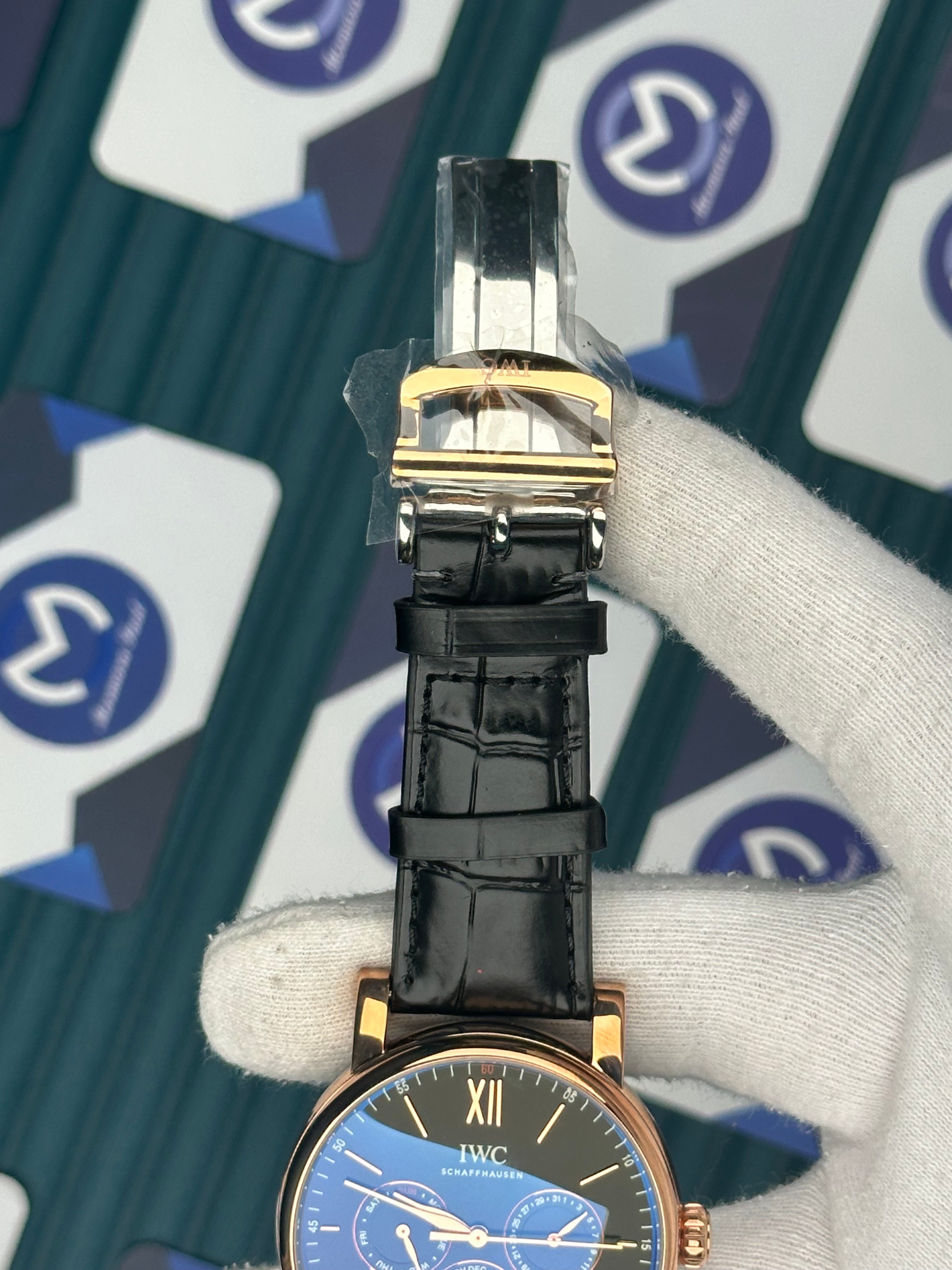 IWC Schaffhausen Chronograph And Moon Automatic