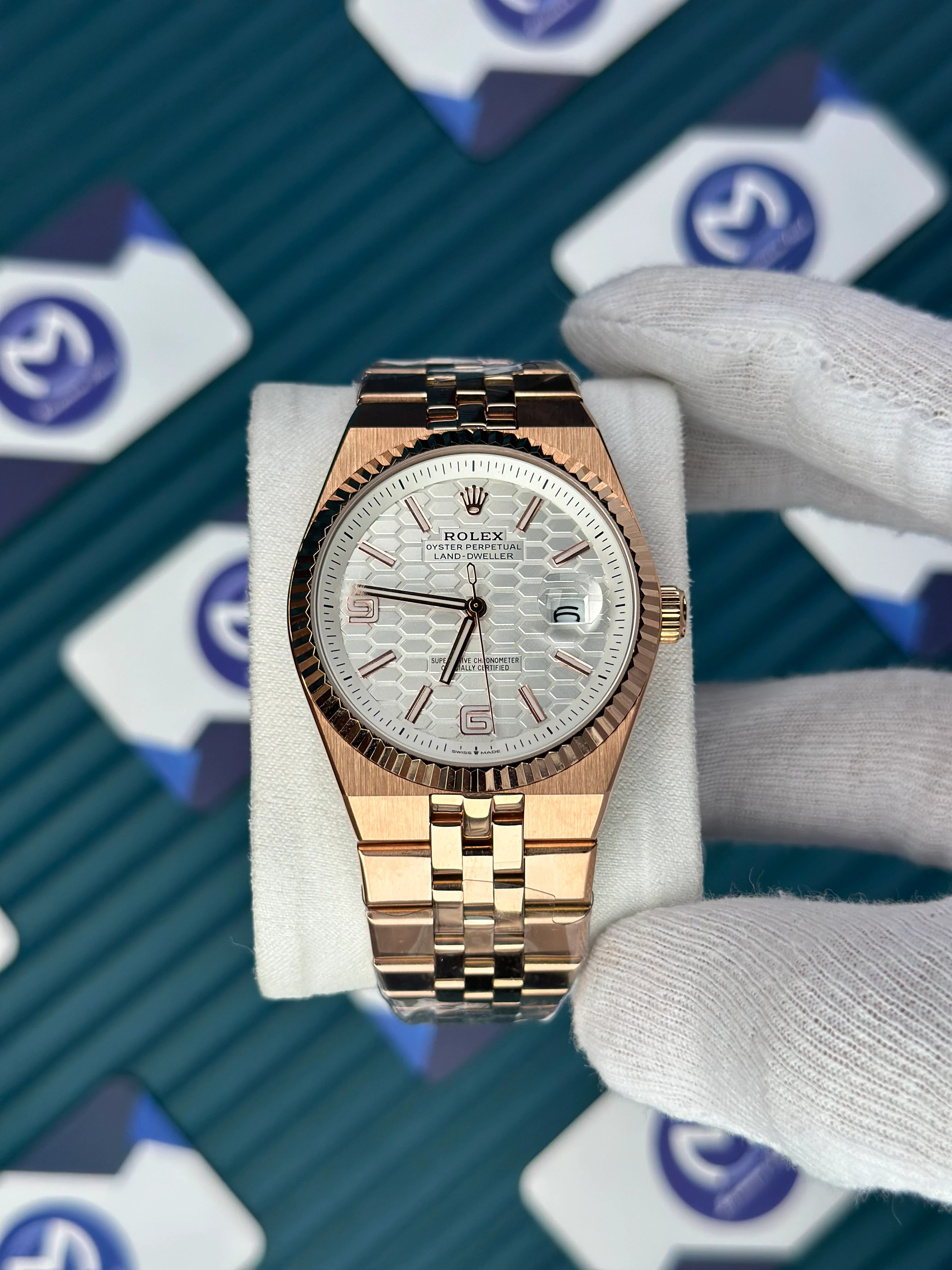 ROLEX LAND DWELLER WHITE DIAL ROSE OYSTERSTEEL