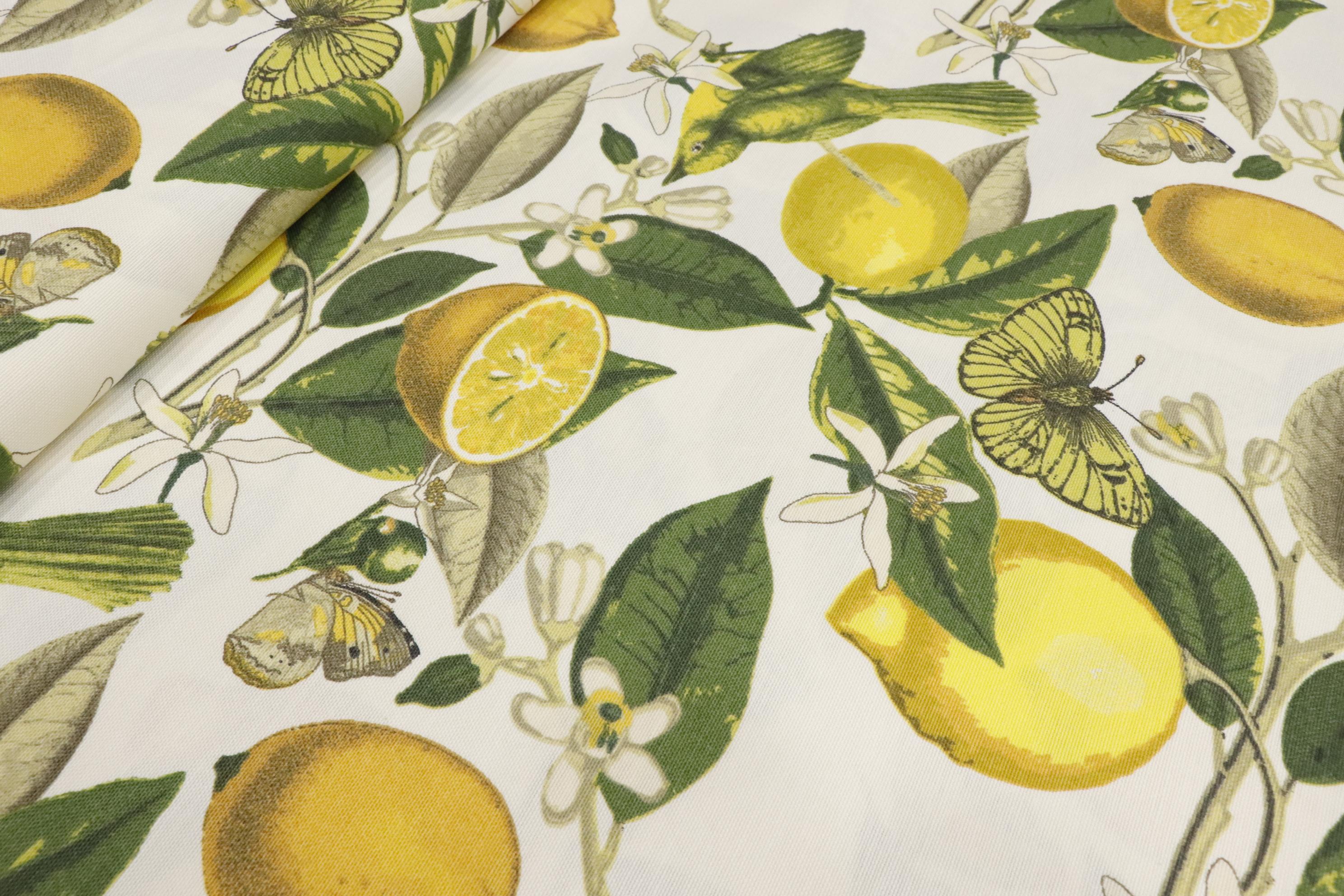 Limon