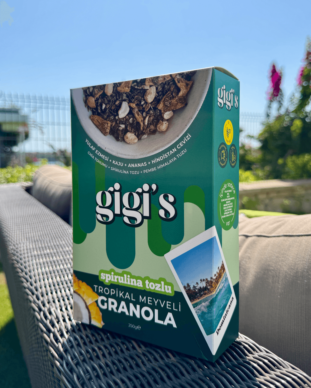 Tropikal Meyveli Granola