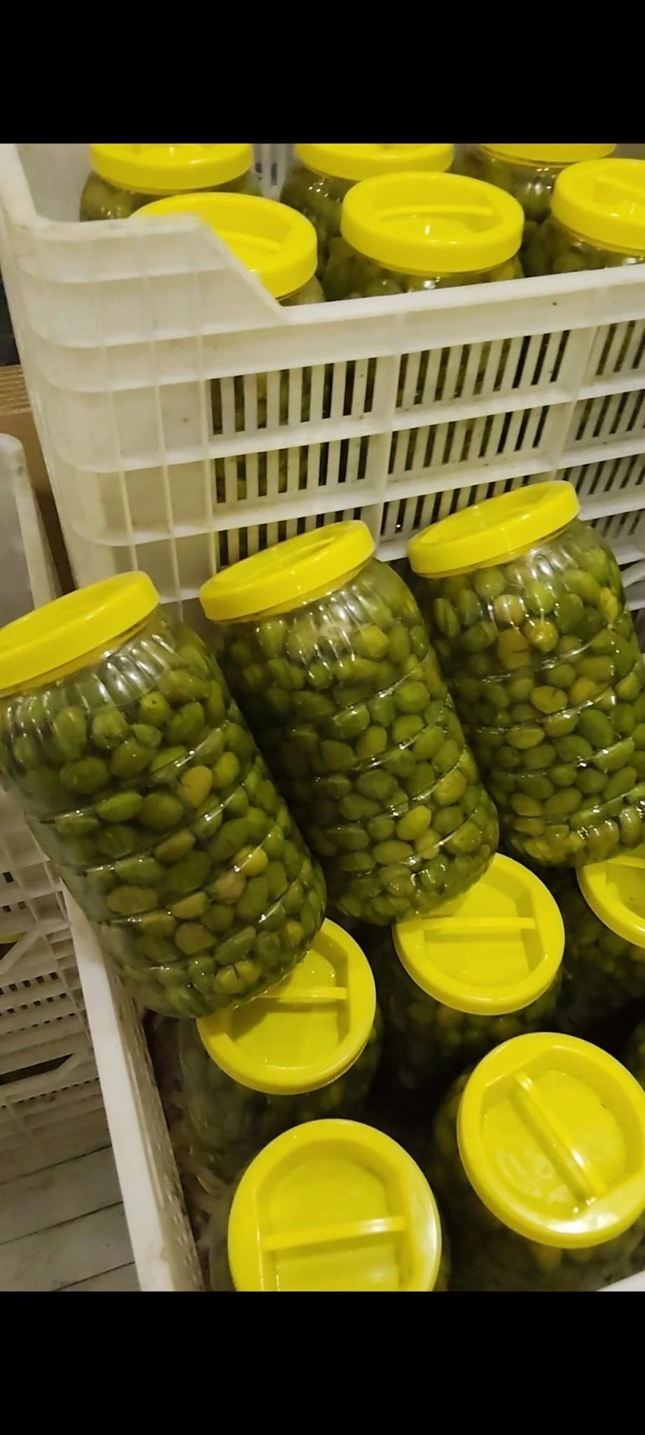 Çekişte Kırma Yeşil Zeytin - 2 Kg