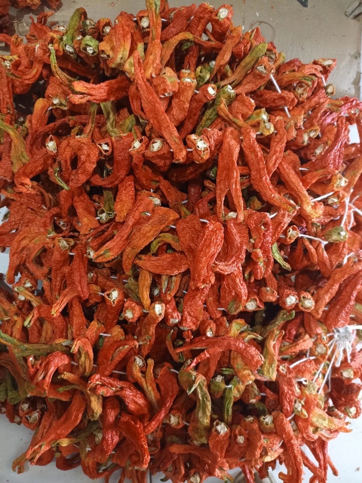 Tatlı Kızartmalık Biber