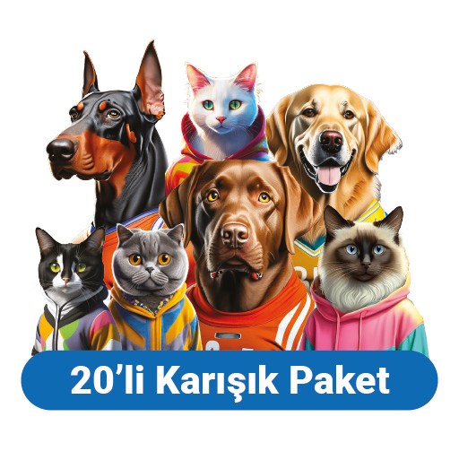 Karışık Figürlü 20'li Paket