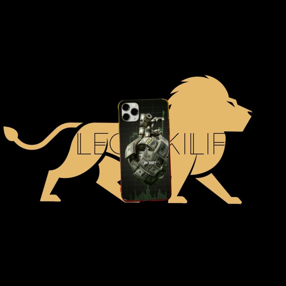 Kalp money kılıfı