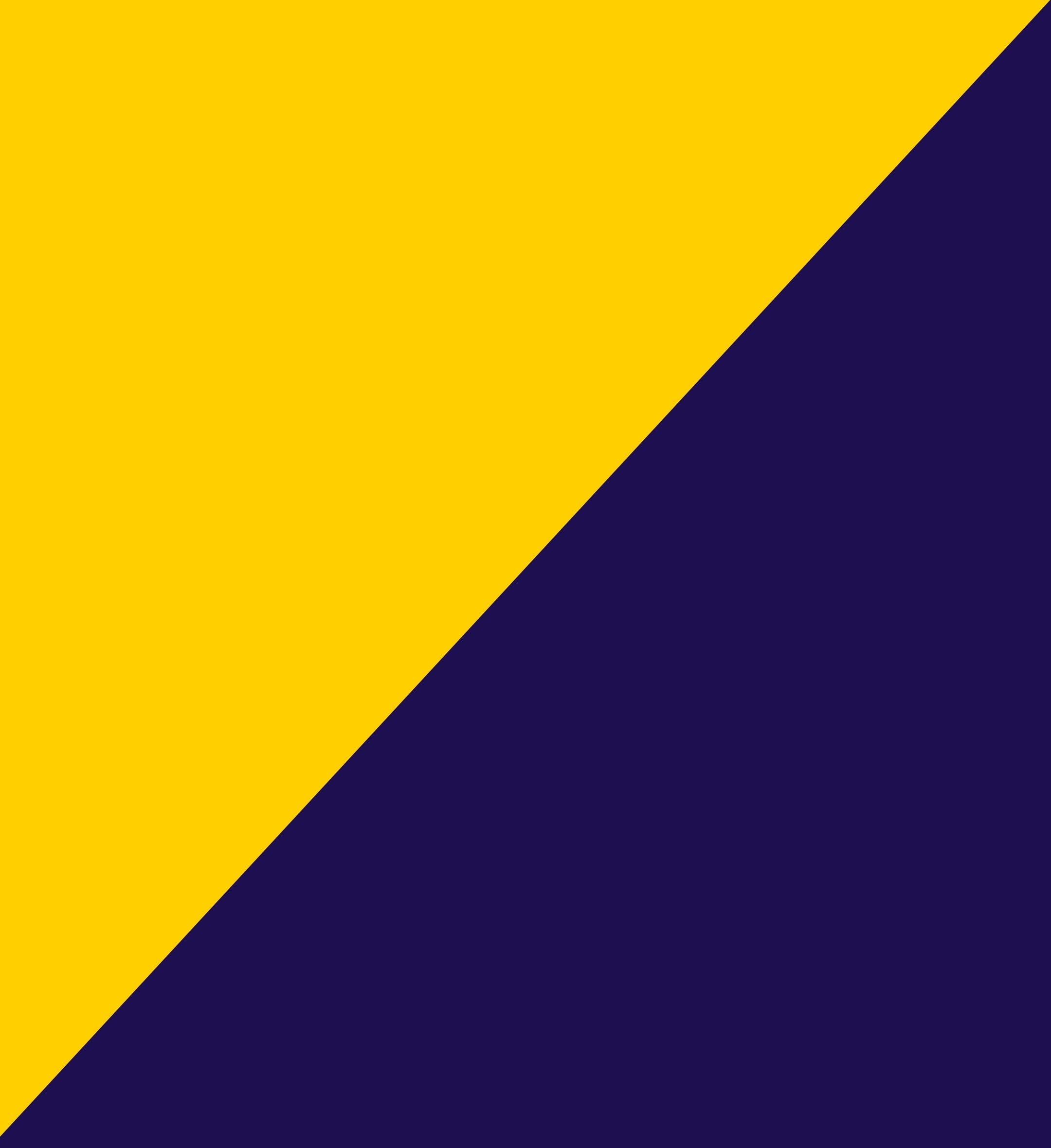 Sarı-Lacivert