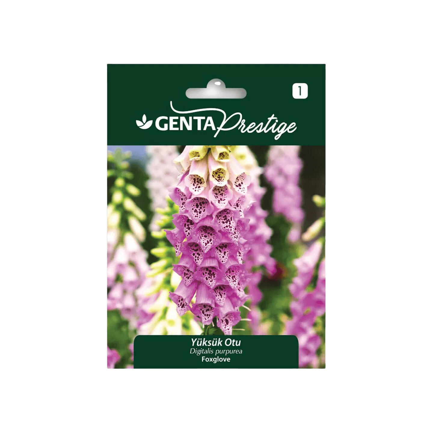 Genta Yüksük Otu Tohumu (Digitalis purpurea – Foxglove) – Uzun Boylu, Renkli Çiçekli Bahçe Bitkisi