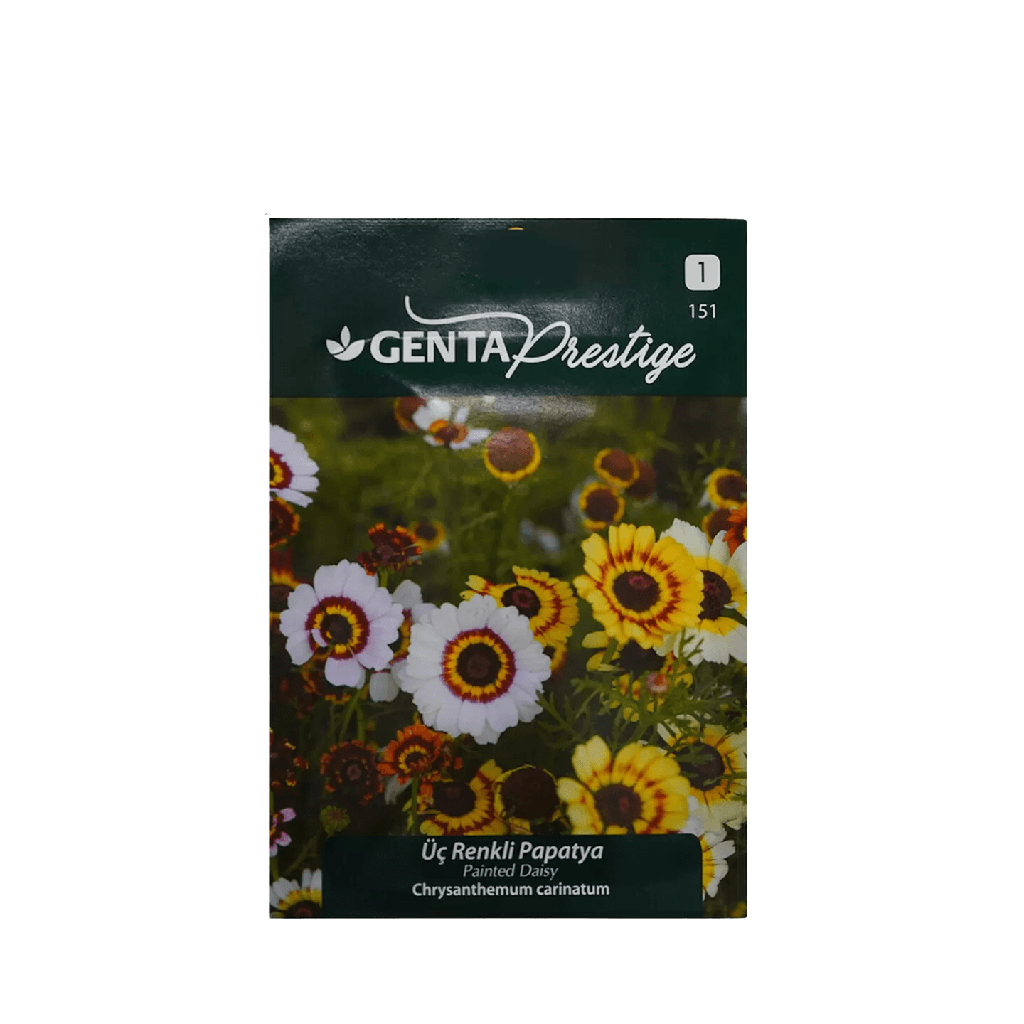 Genta Prestige Üç Renkli Papatya (Painted Daisy – Chrysanthemum carinatum) Tohumu – Arıları Çeken Çokrenkli Tek Yıllık Çiçek