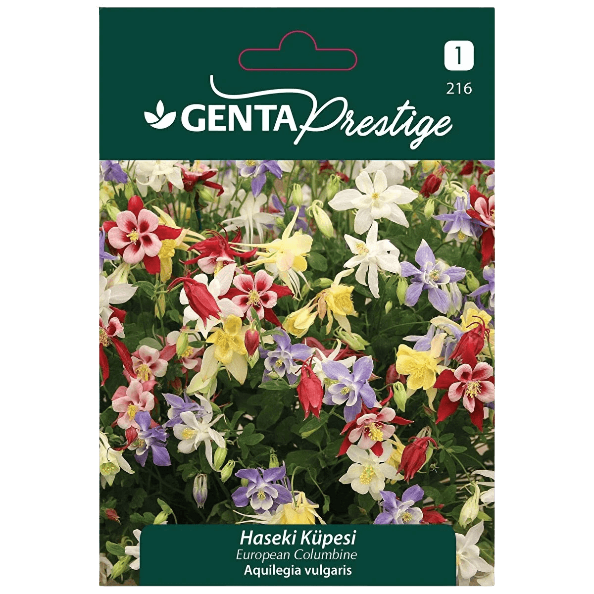 Genta Prestige Haseki Küpesi Tohumu – Renkli Columbine (Aquilegia vulgaris), Çok Yıllık Süs Bitkisi