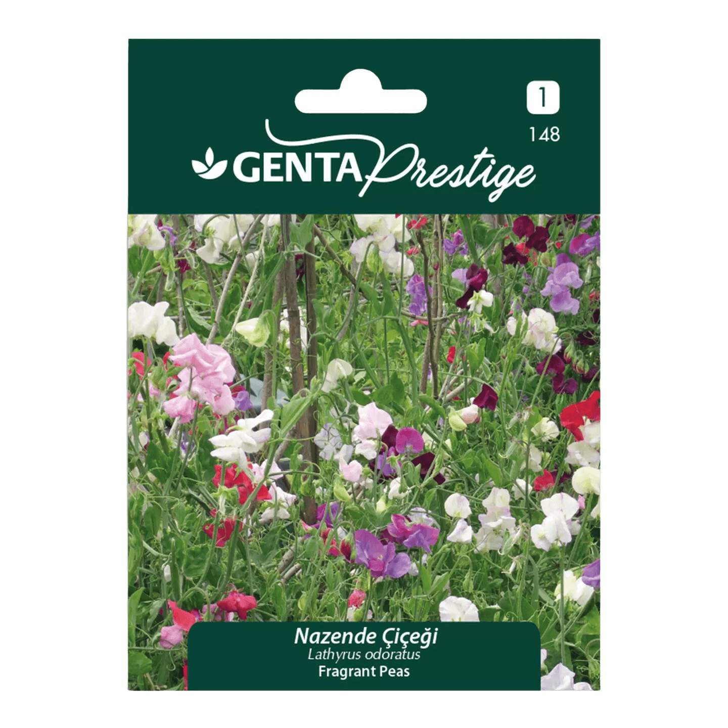Genta Prestige Nazende Çiçeği Tohumu – Renkli Columbine (Aquilegia vulgaris), Yıllık Tırmanıcı Bitki