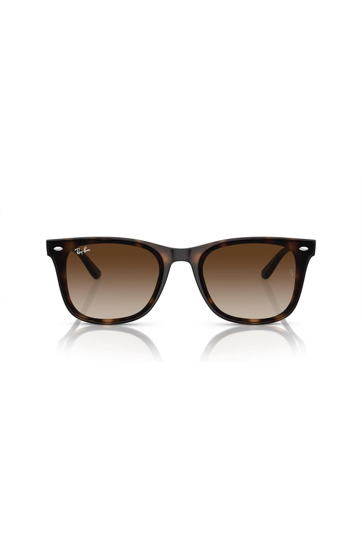 RB 4420 65 710/13 Güneş Gözlüğü