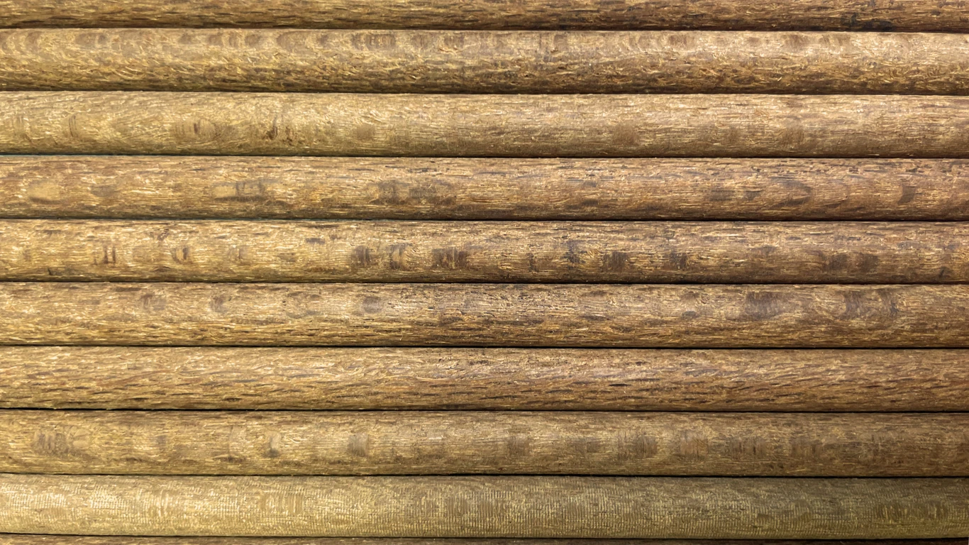 23/64 | Leopar Ağacı