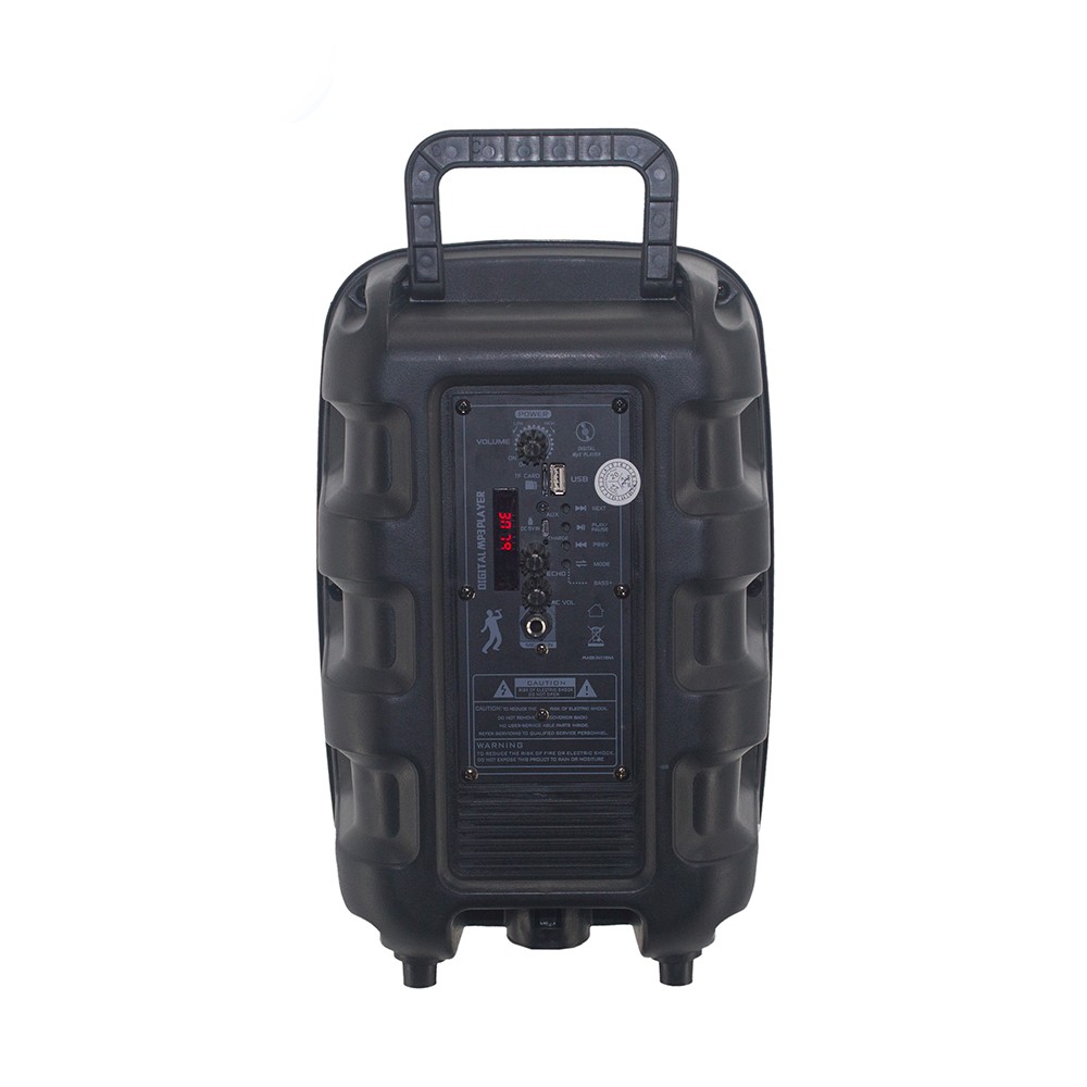 Zore PK-15 FM Radyolu Mikrofonlu RGB TWS 8 inç Stereo Bass Kablosuz Karaoke Hoparlör