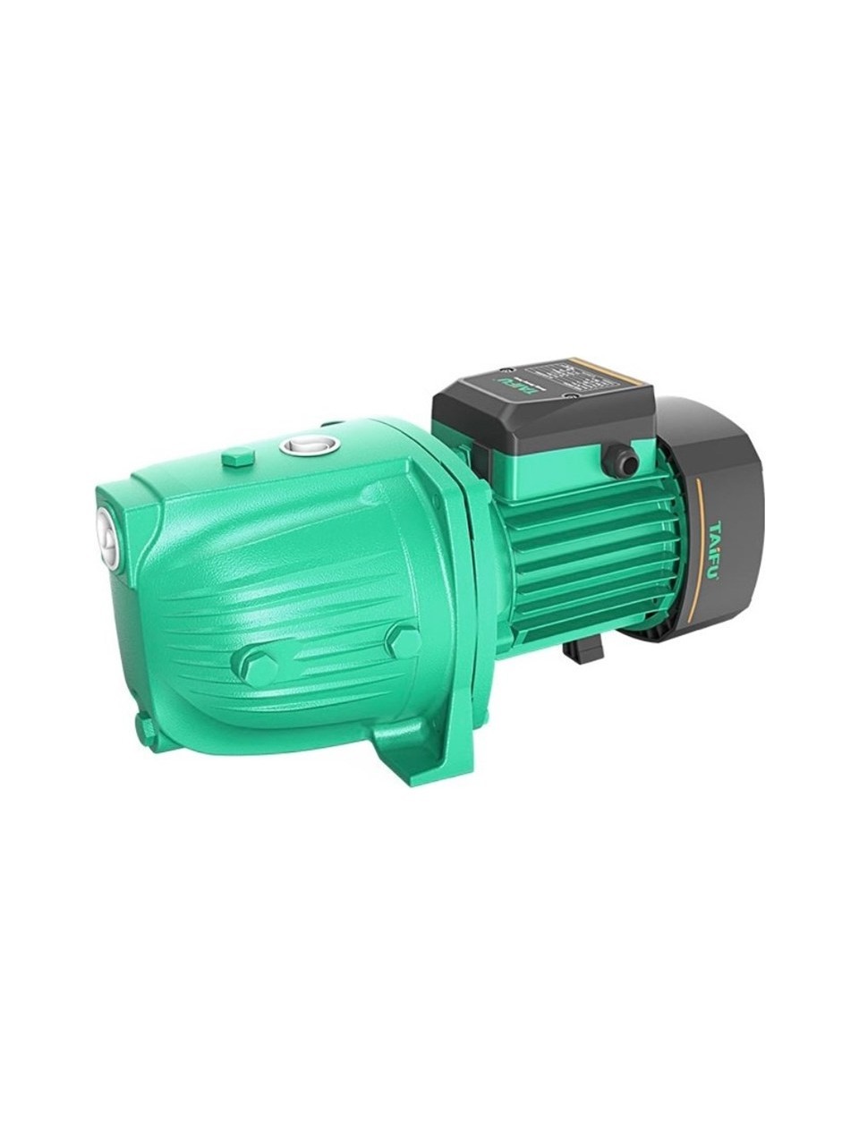 Taifu 1 Beygir Jet Hidrofor Su Pompası 1 Hp Taifu Jet 100H