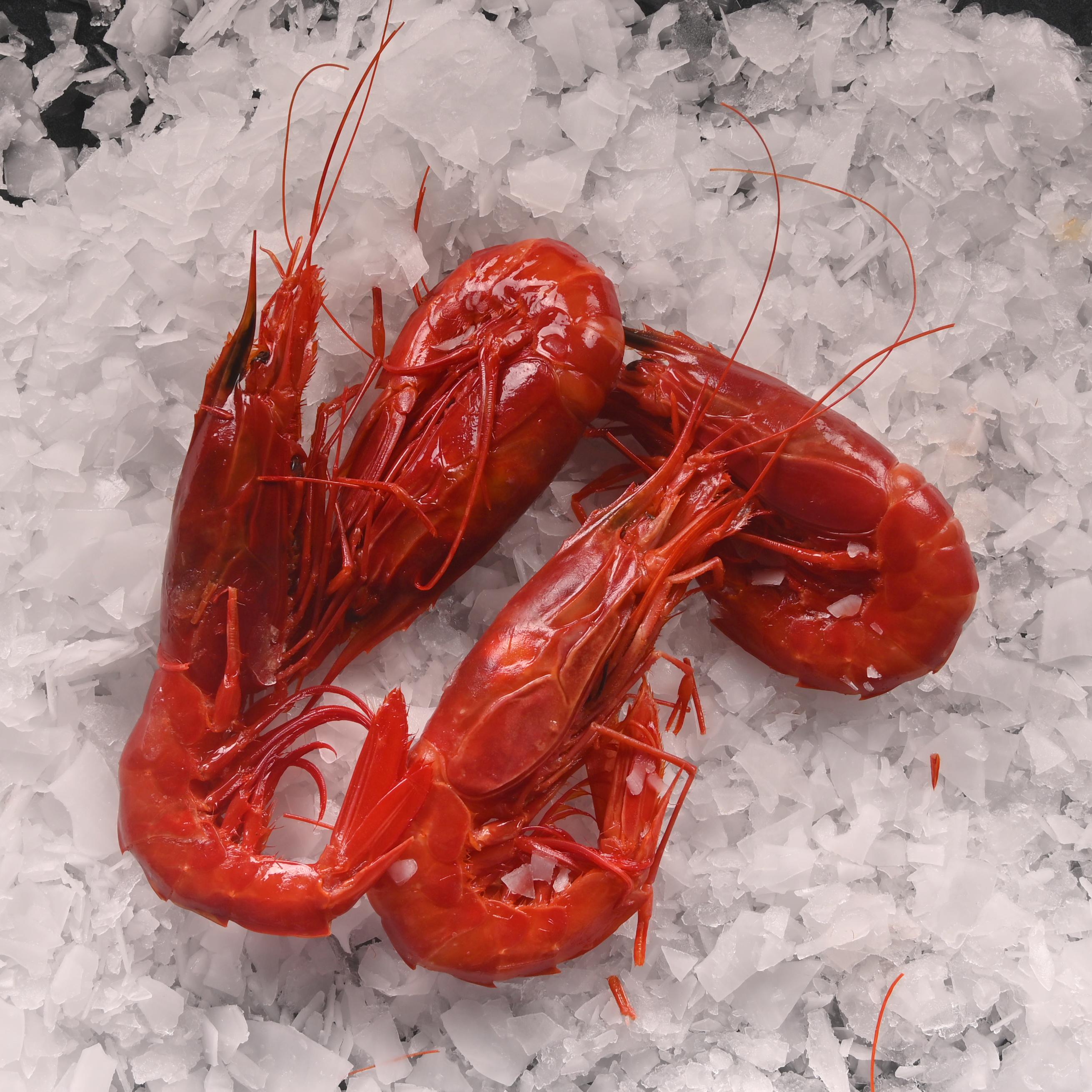 Carabineros Karides