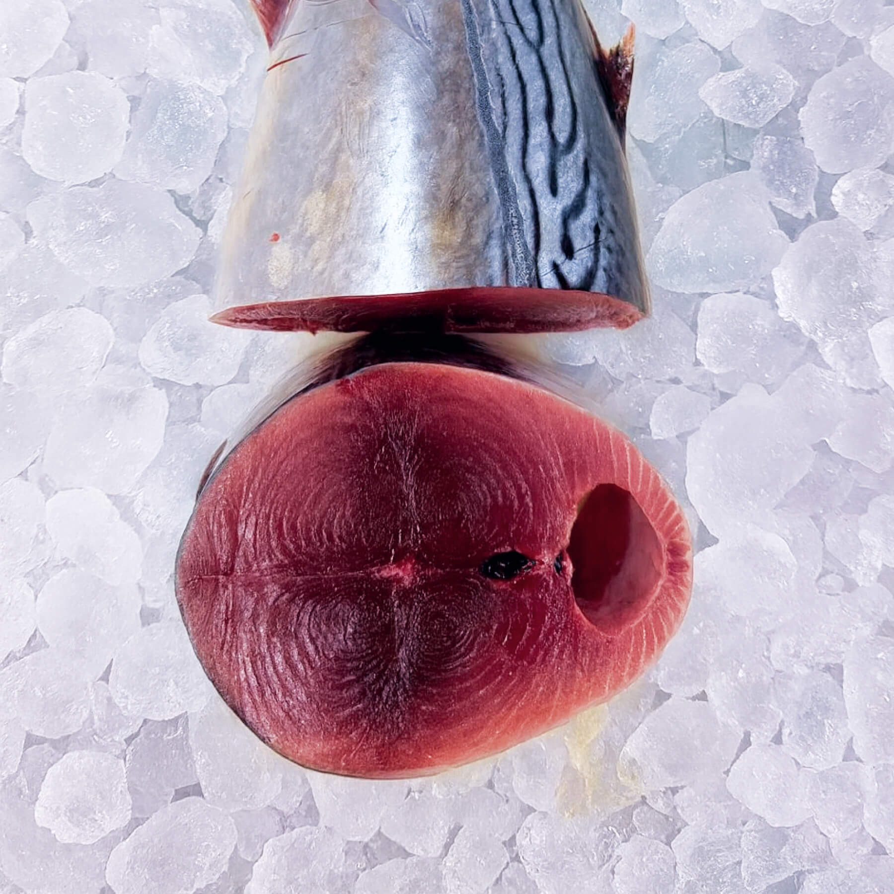 Ton Balığı Taze Adet - 6-7 Kg