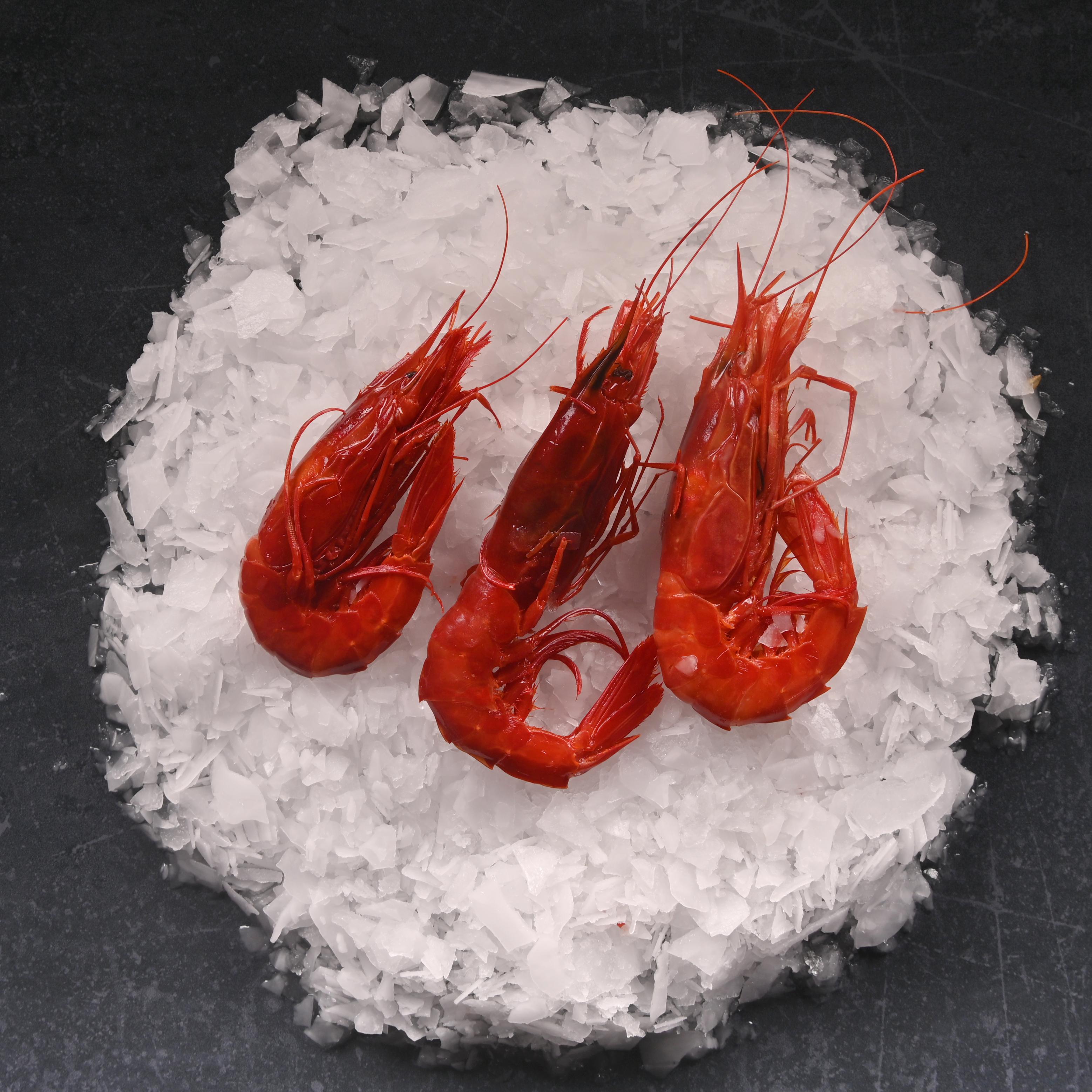 Carabineros Karides