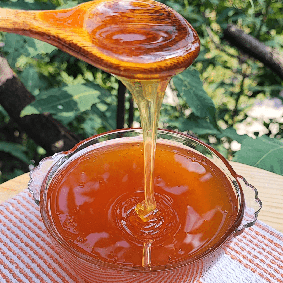 Çam Balı