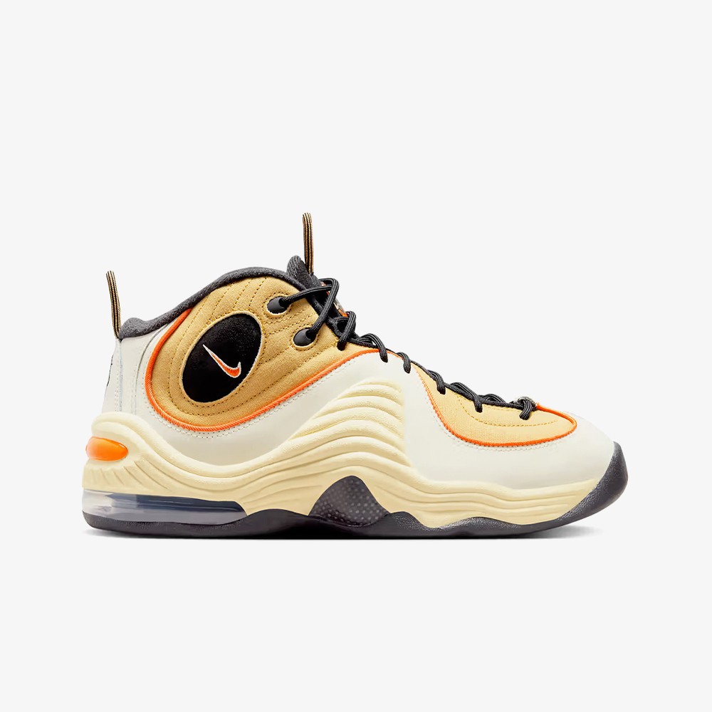 Penny air 2025