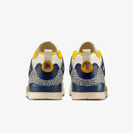 Jordan Jordan Sarı Spizike Low 'Michigan' Wunder'de! Sarı - 6. görsel