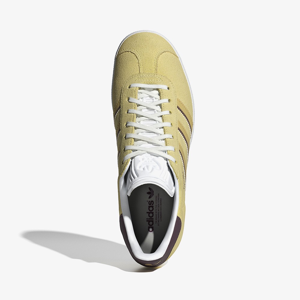 Gazelle 'Almost Yellow' (W)