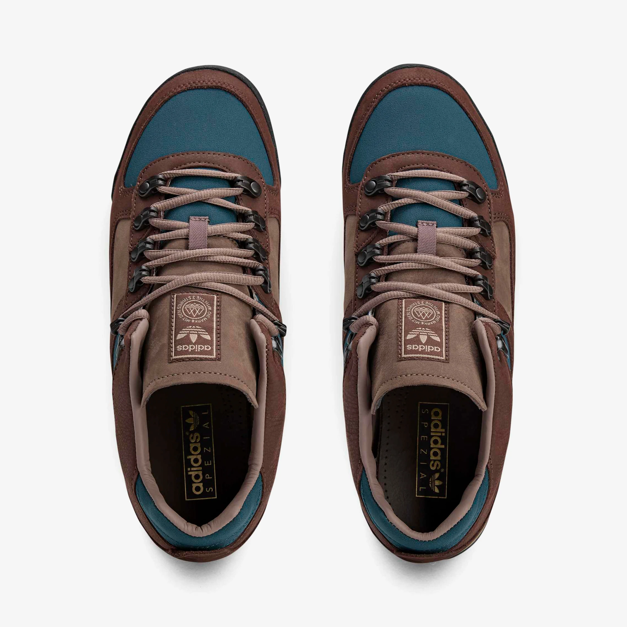 Grisedale SPZL 'Aurora Ivy'