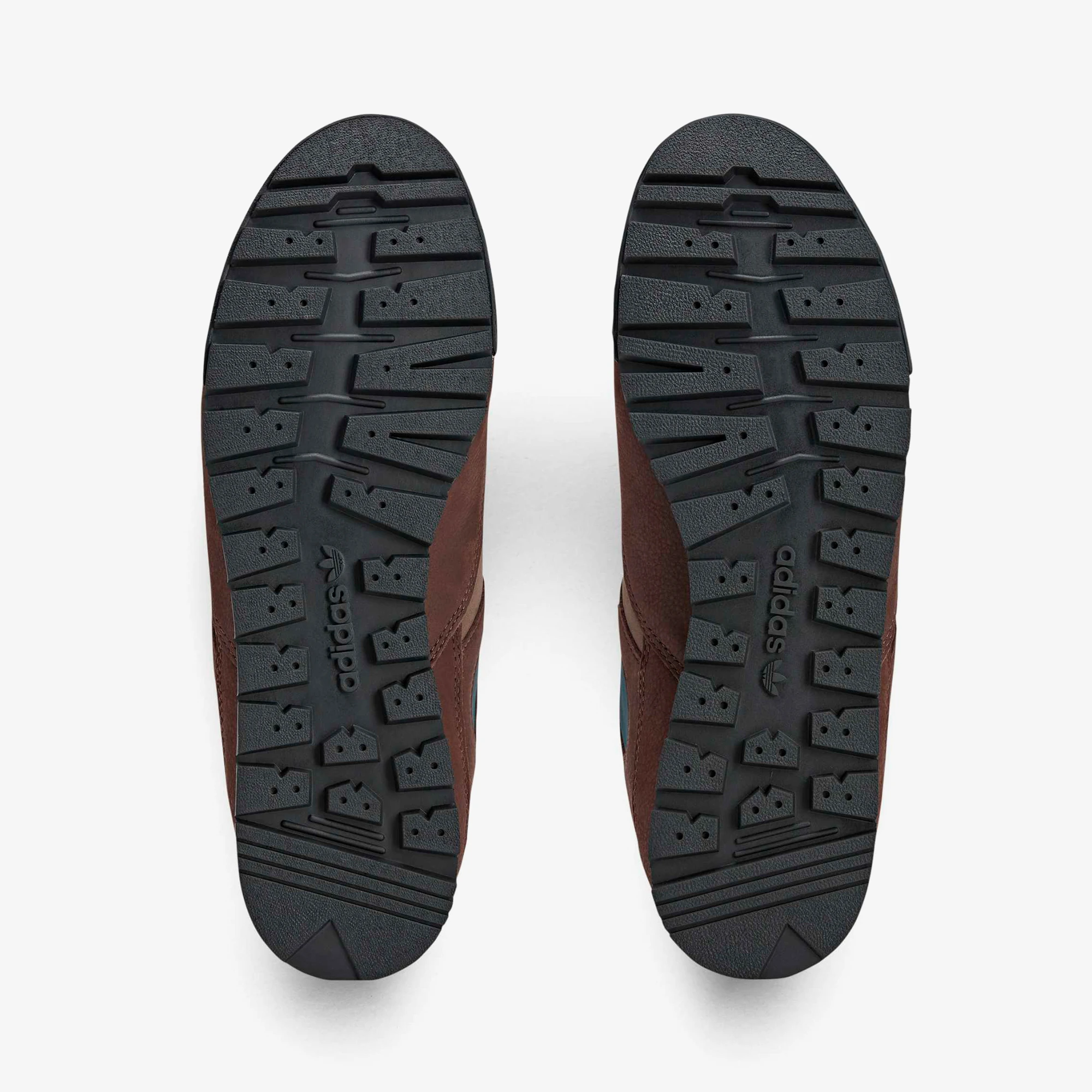 Grisedale SPZL 'Aurora Ivy'