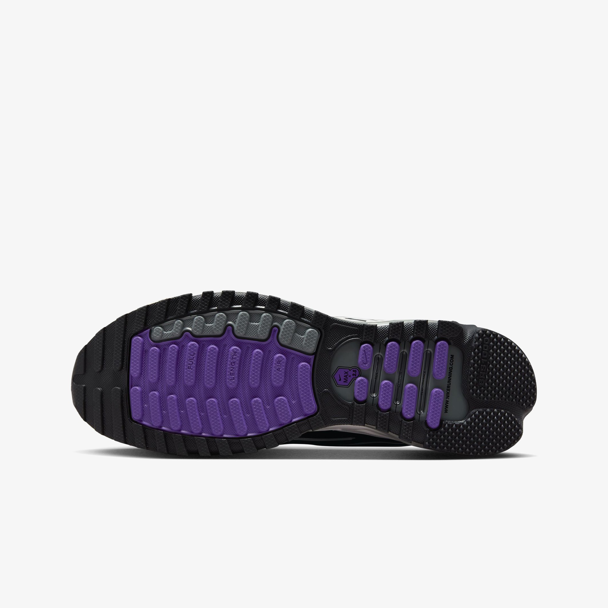 Air Max TL 2.5 'Wild Grape'