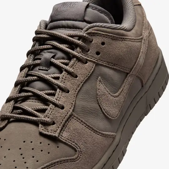Nike Kahverengi Nike Dunk Low Retro SE