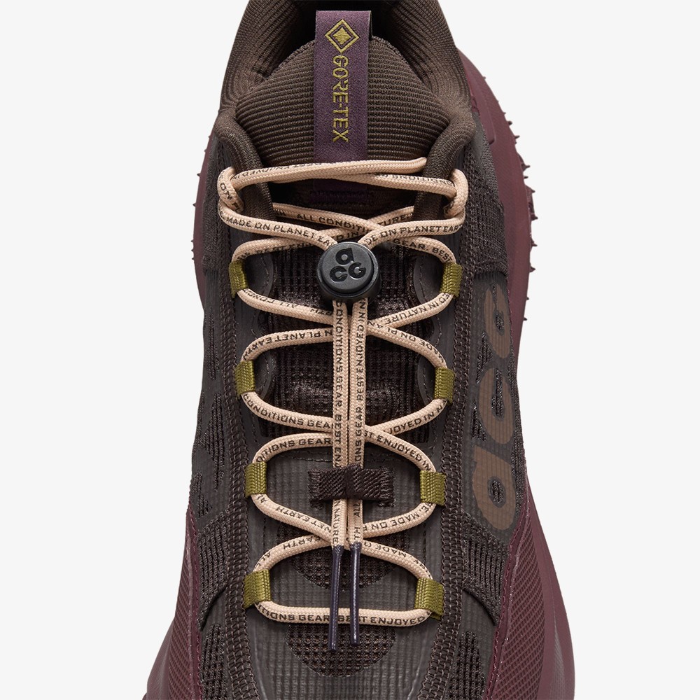 ACG Mountain Fly 2 Low Gore-tex 'Velvet Brown'