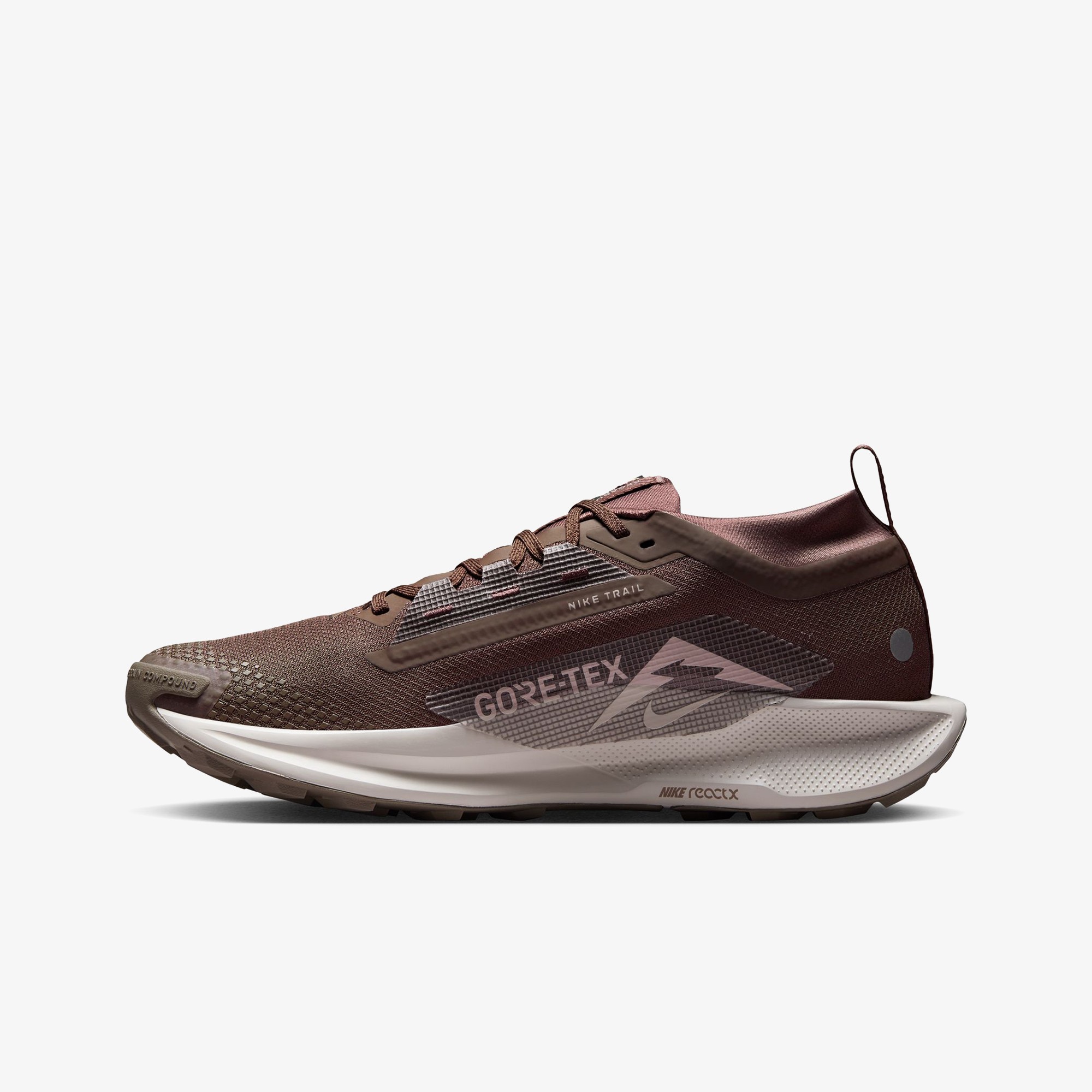 Pegasus Trail 5 GORE-TEX 'Ironstone Velvet Brown'