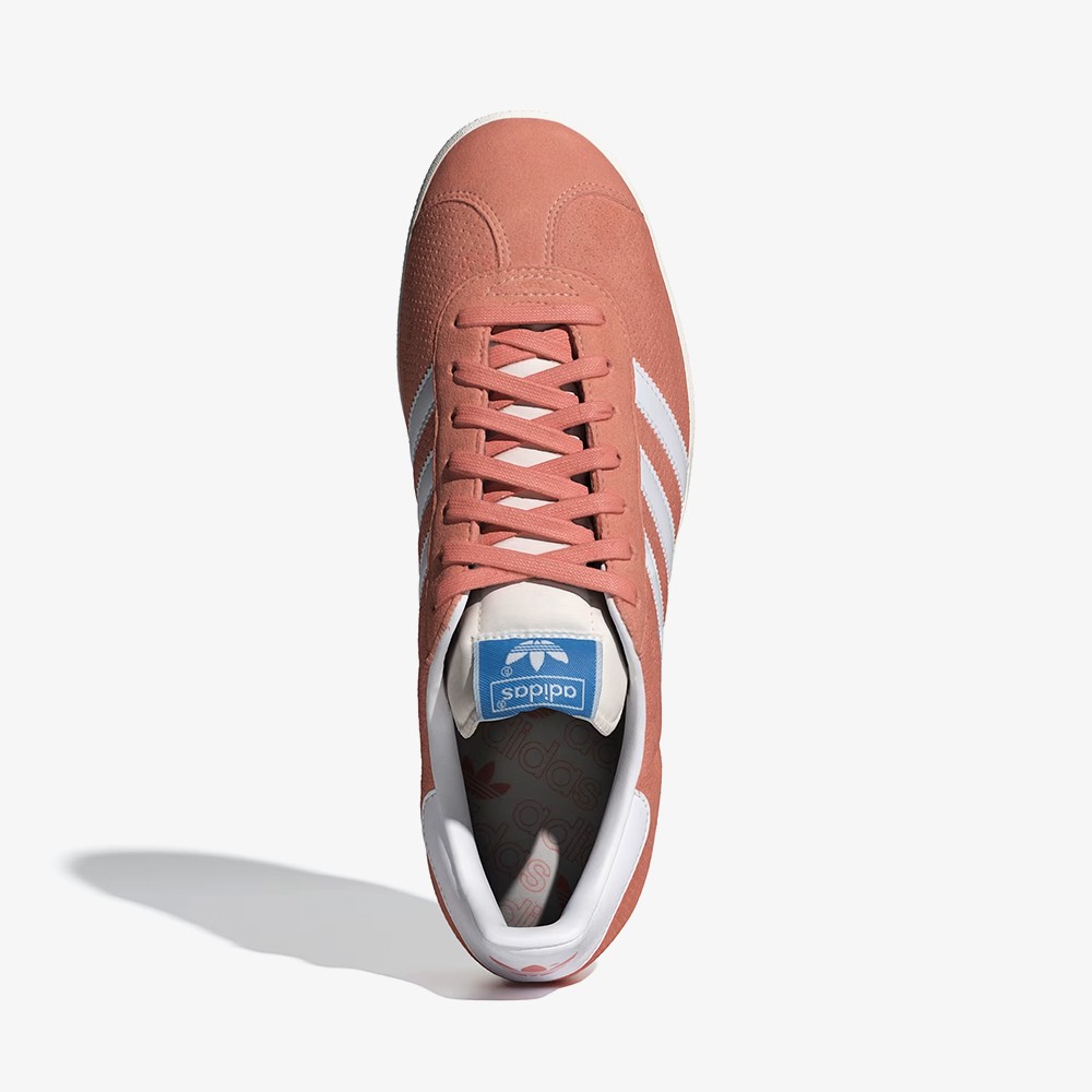 Gazelle 'Peach'