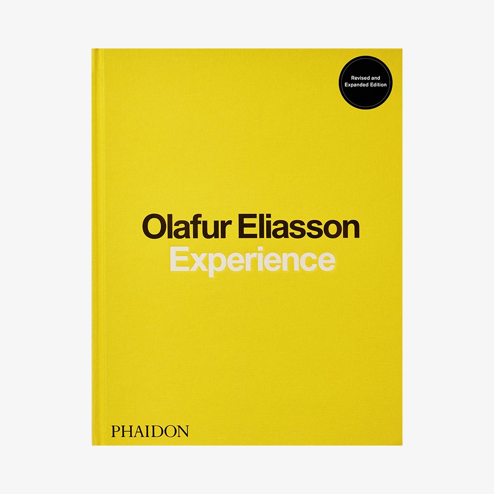 Olafur Eliasson, Experience