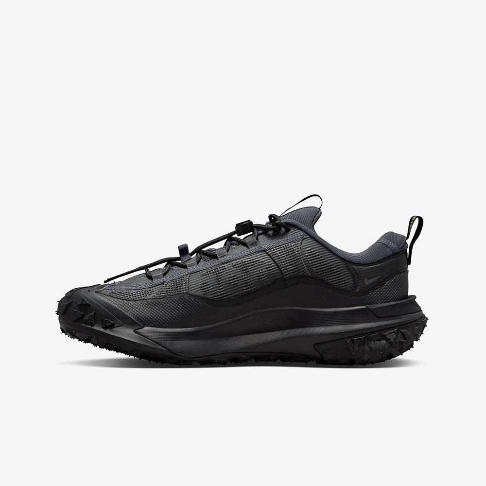 ACG Mountain Fly 2 Low GORE-TEX 'Dark Smoke'