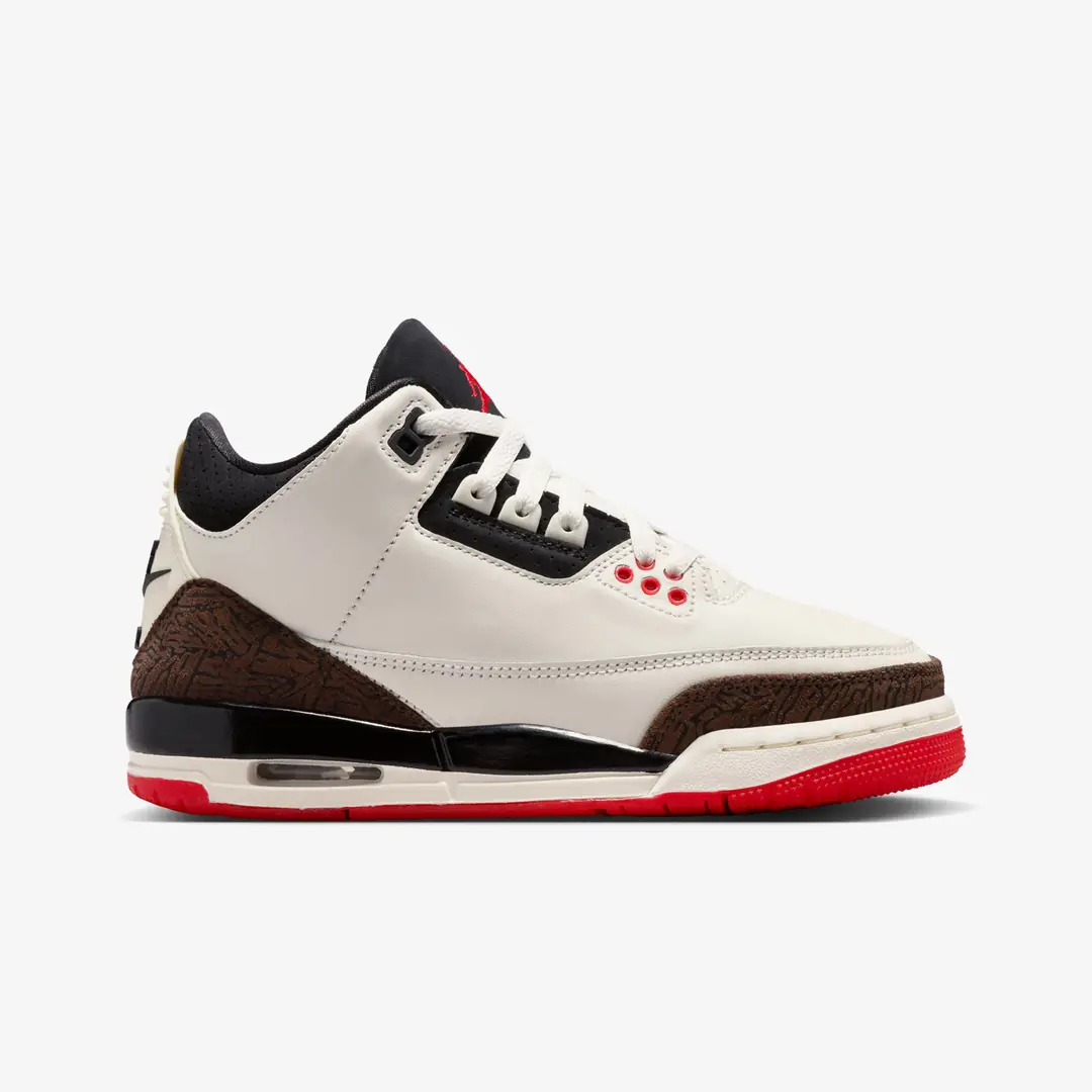 Air Jordan 3 - WUNDER