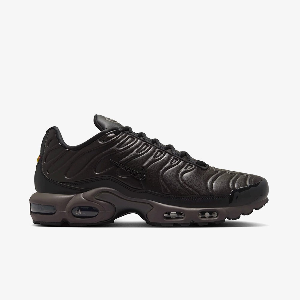 Кроссовки Nike Air Max Plus Premium 'Paris'