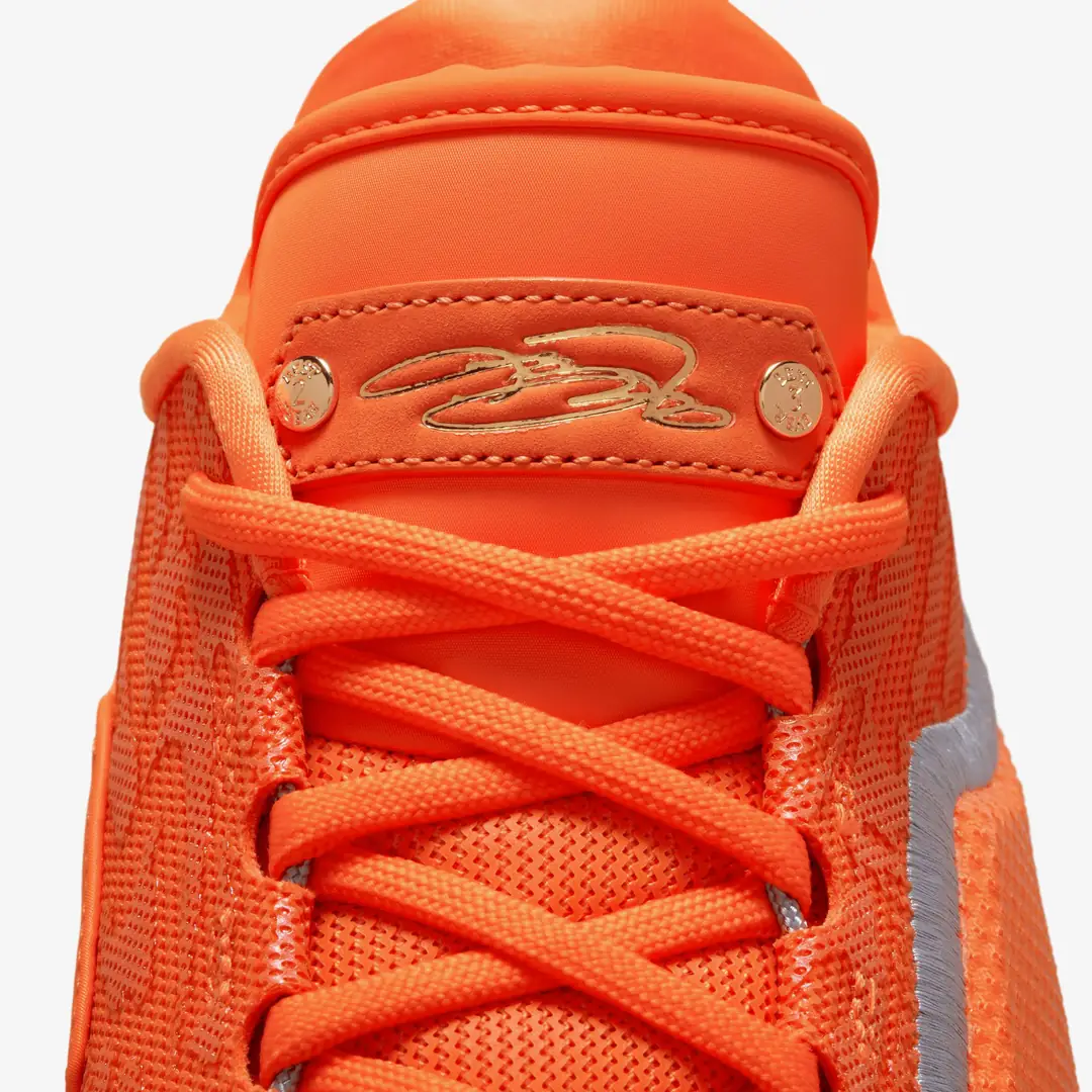 Nike LeBron 23 'Shoe Bag' - WUNDER
