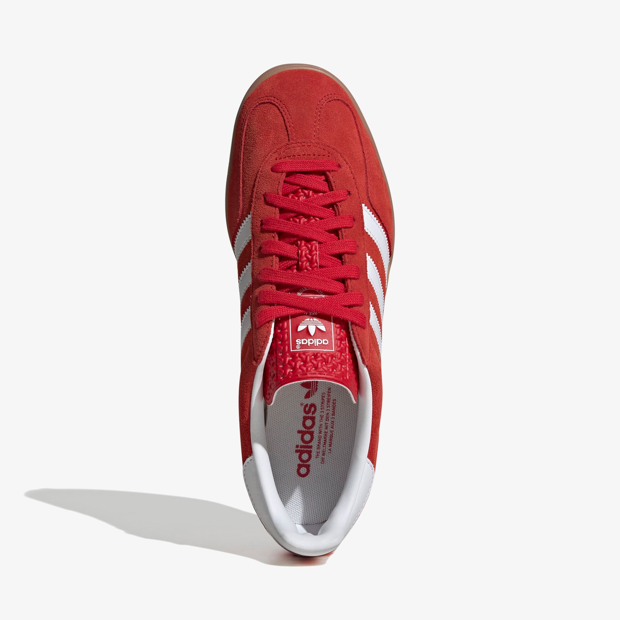 Gazelle Indoor 'Better Scarlet'