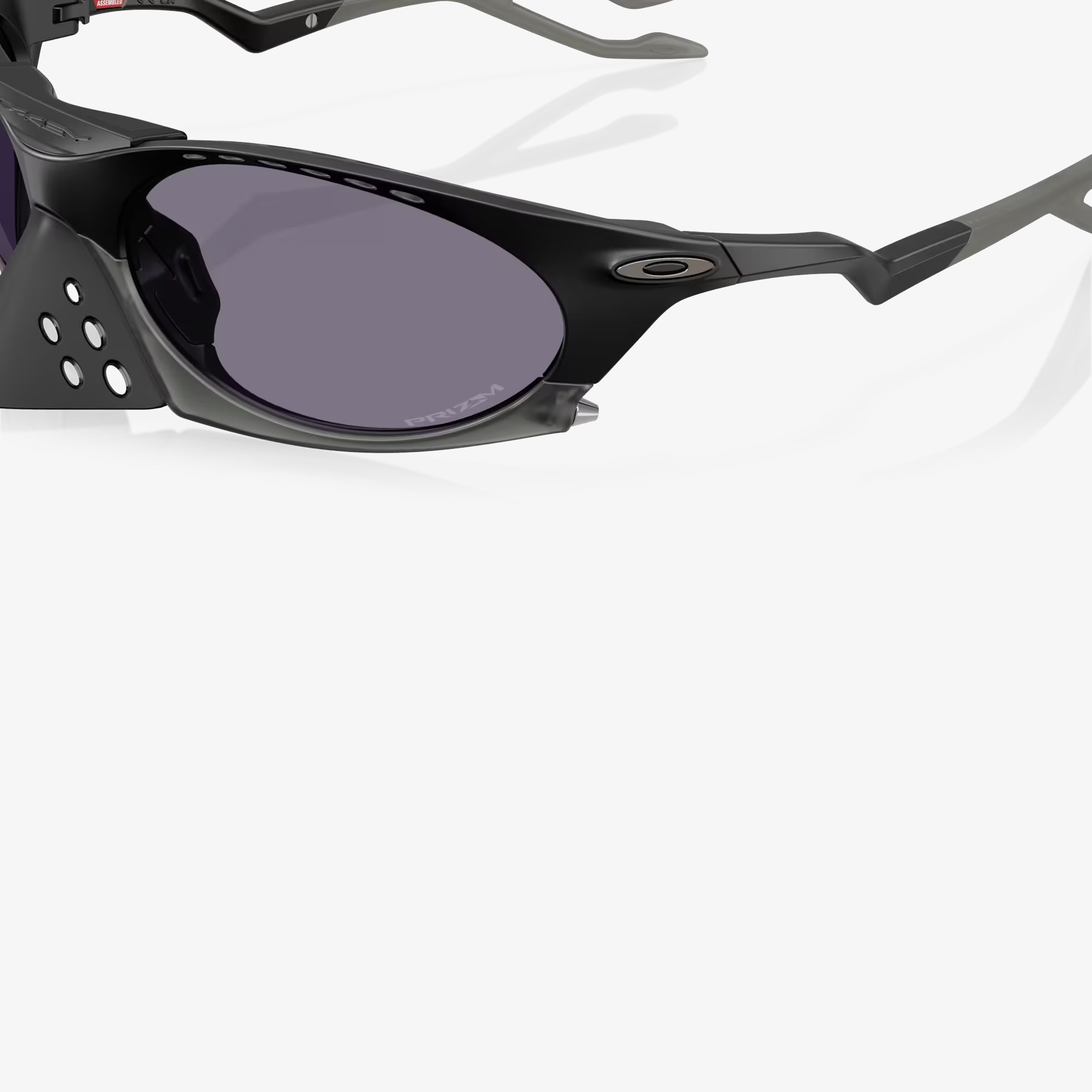 Plantaris 'Matte Black'