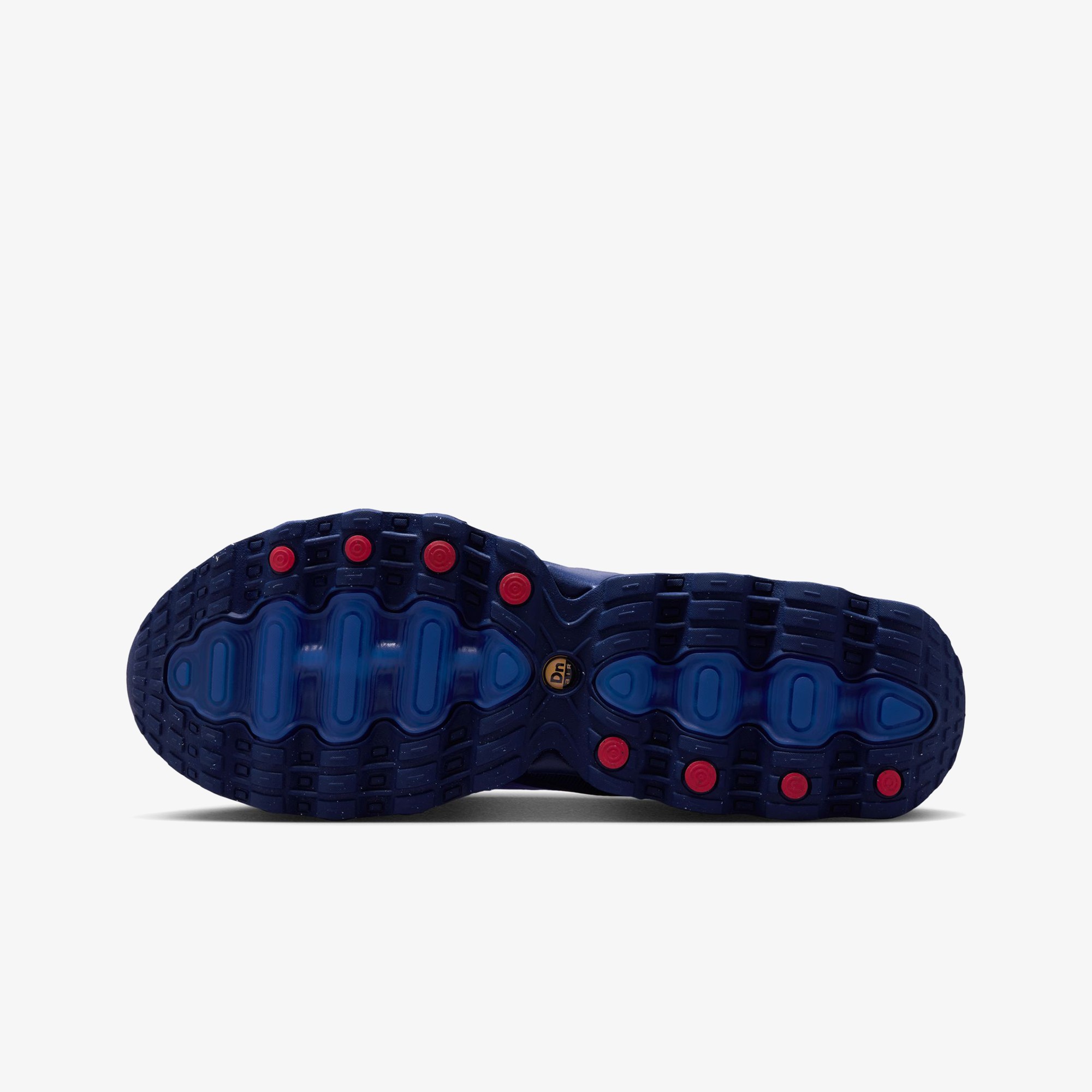 Air Max Dn8 'Racer Blue'