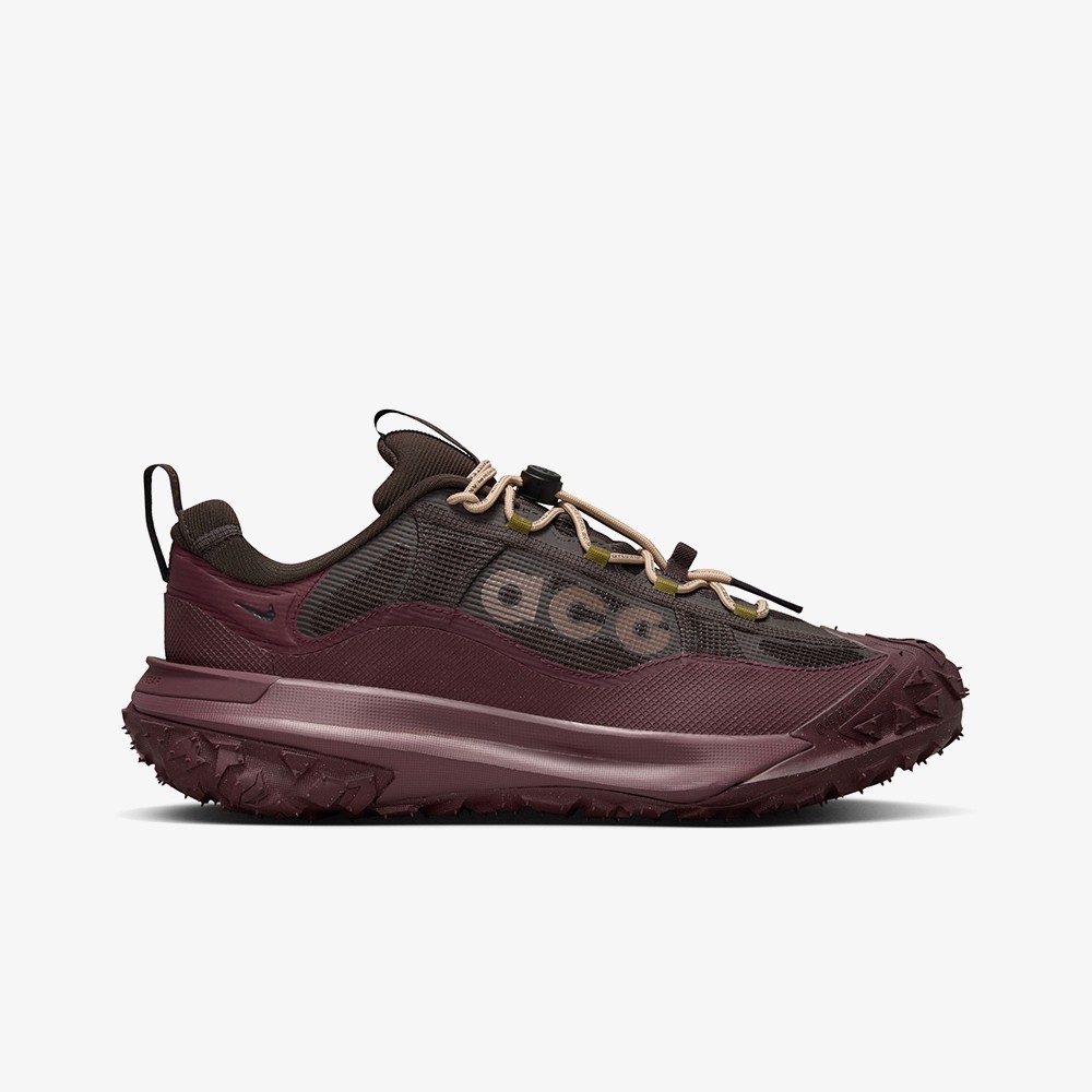 Кроссовки Nike ACG Mountain Fly 2 Low Gore-tex 'Velvet Brown'