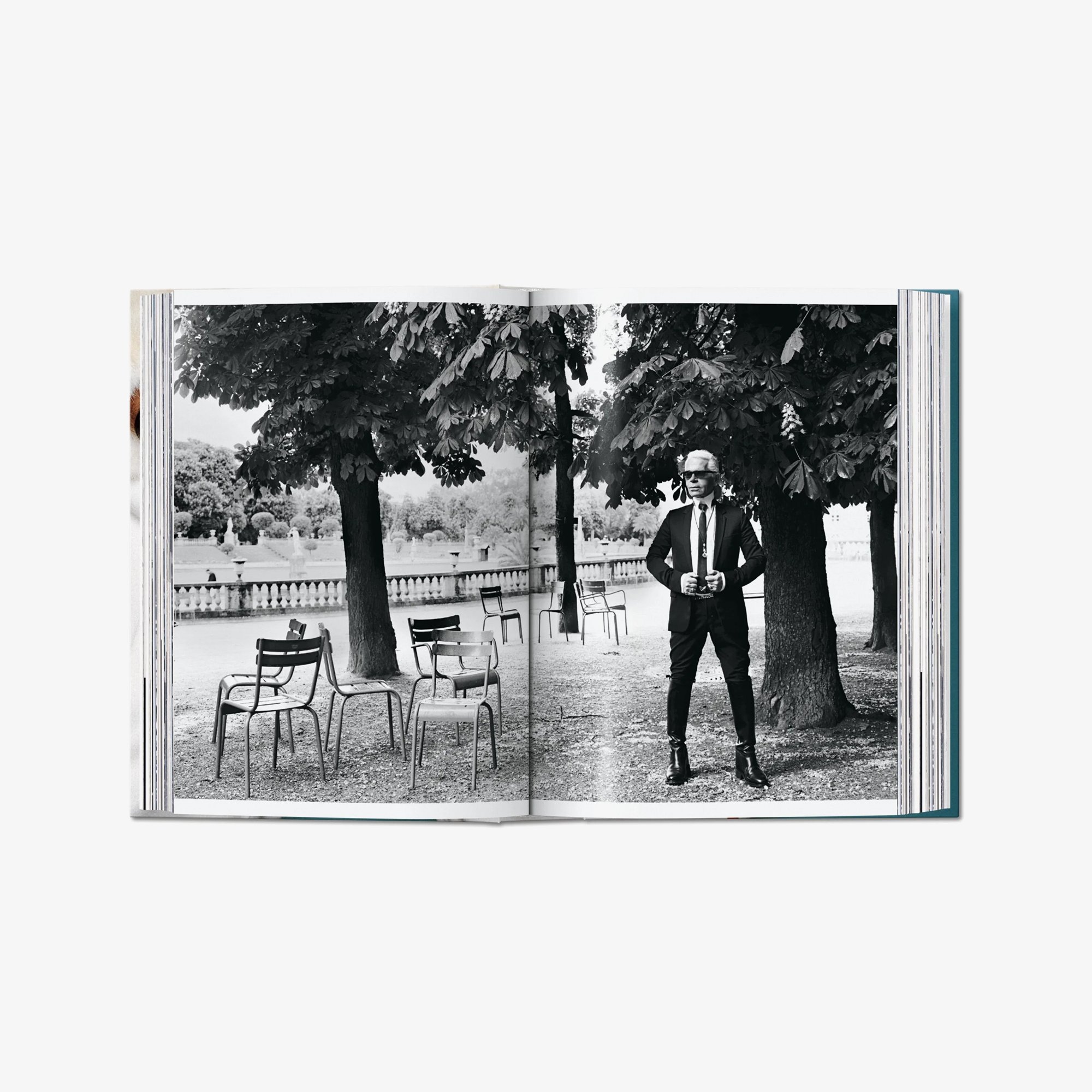 Mario Testino 40th Edition