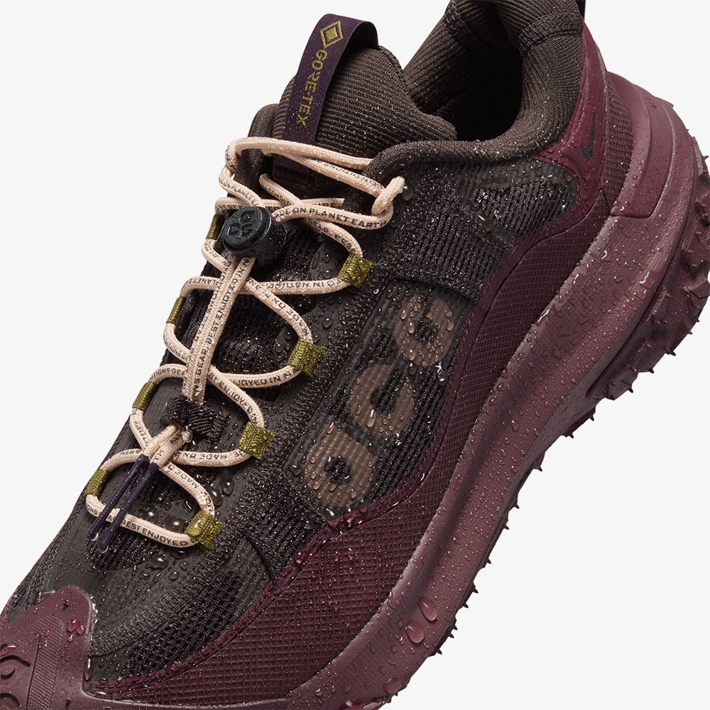 ACG Mountain Fly 2 Low Gore-tex 'Velvet Brown'