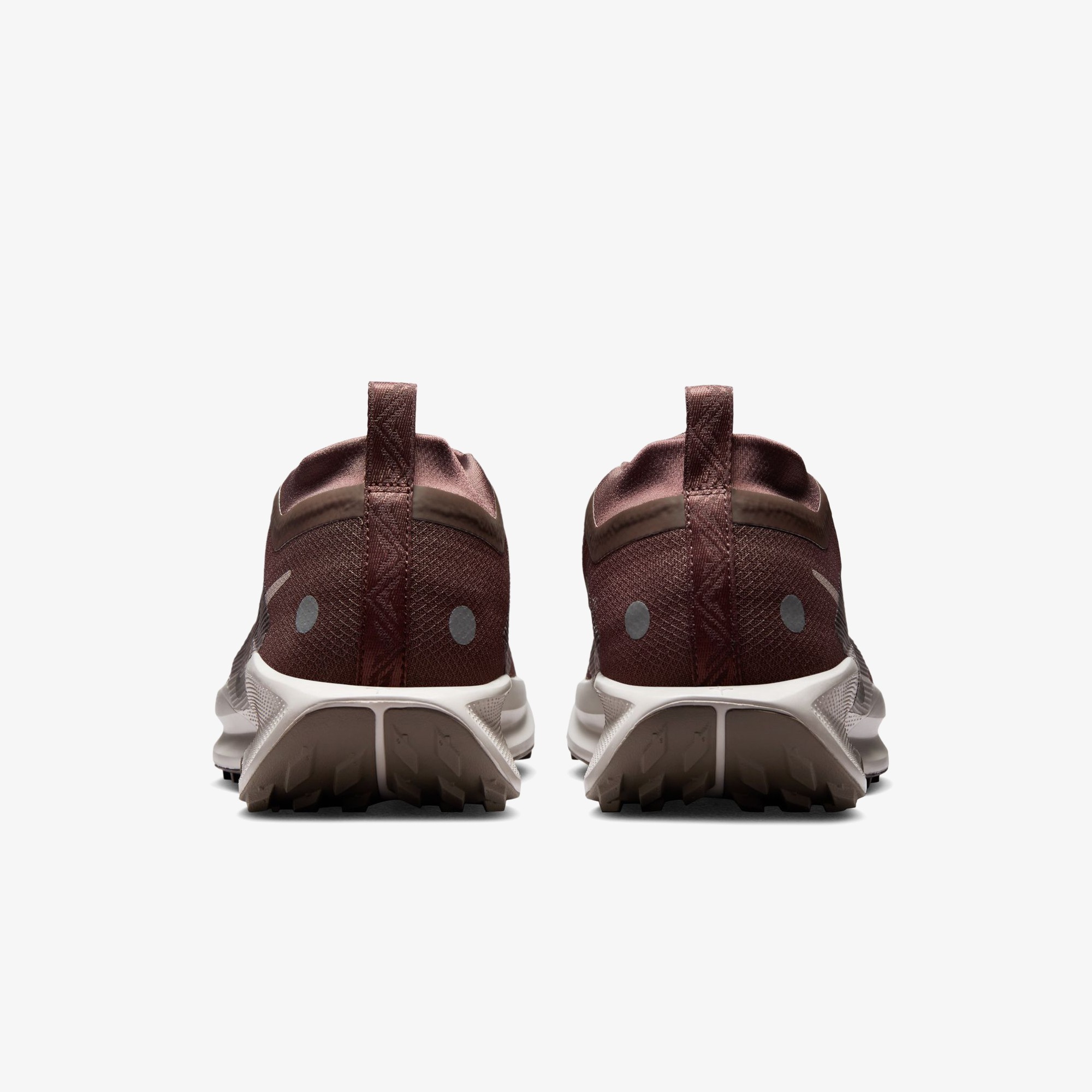 Pegasus Trail 5 GORE-TEX 'Ironstone Velvet Brown'