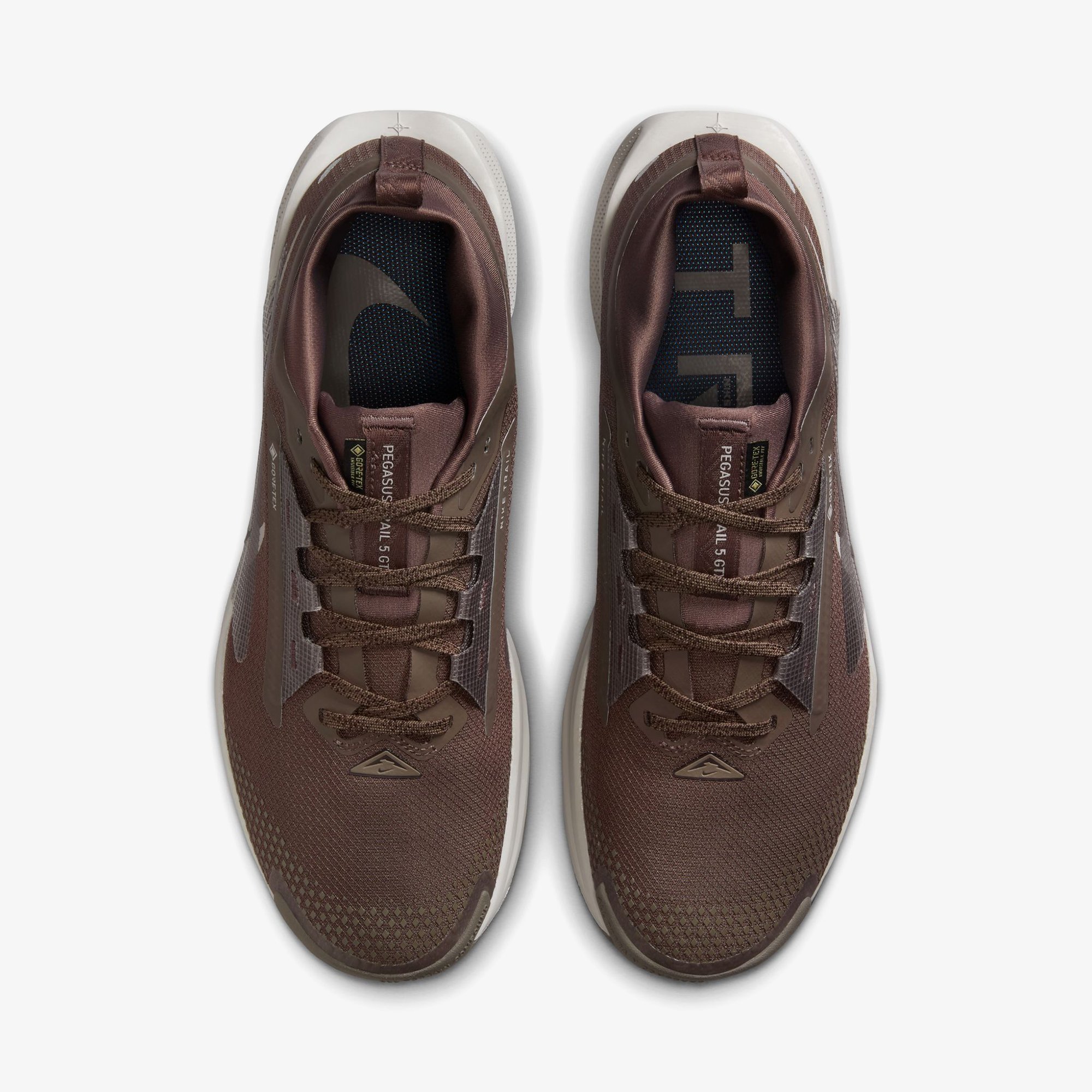 Pegasus Trail 5 GORE-TEX 'Ironstone Velvet Brown'