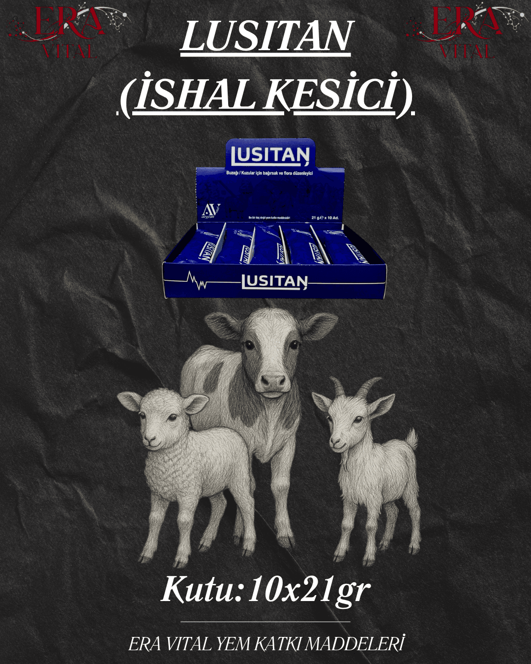 LUSITAN (İshal Kesici)