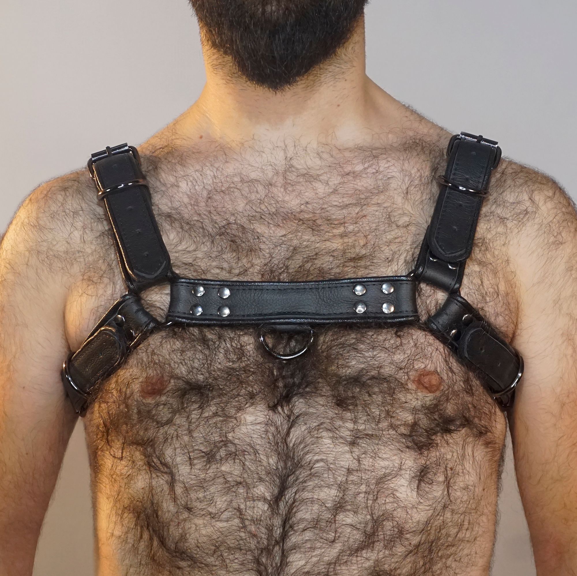 HARNESS (SİYAH)