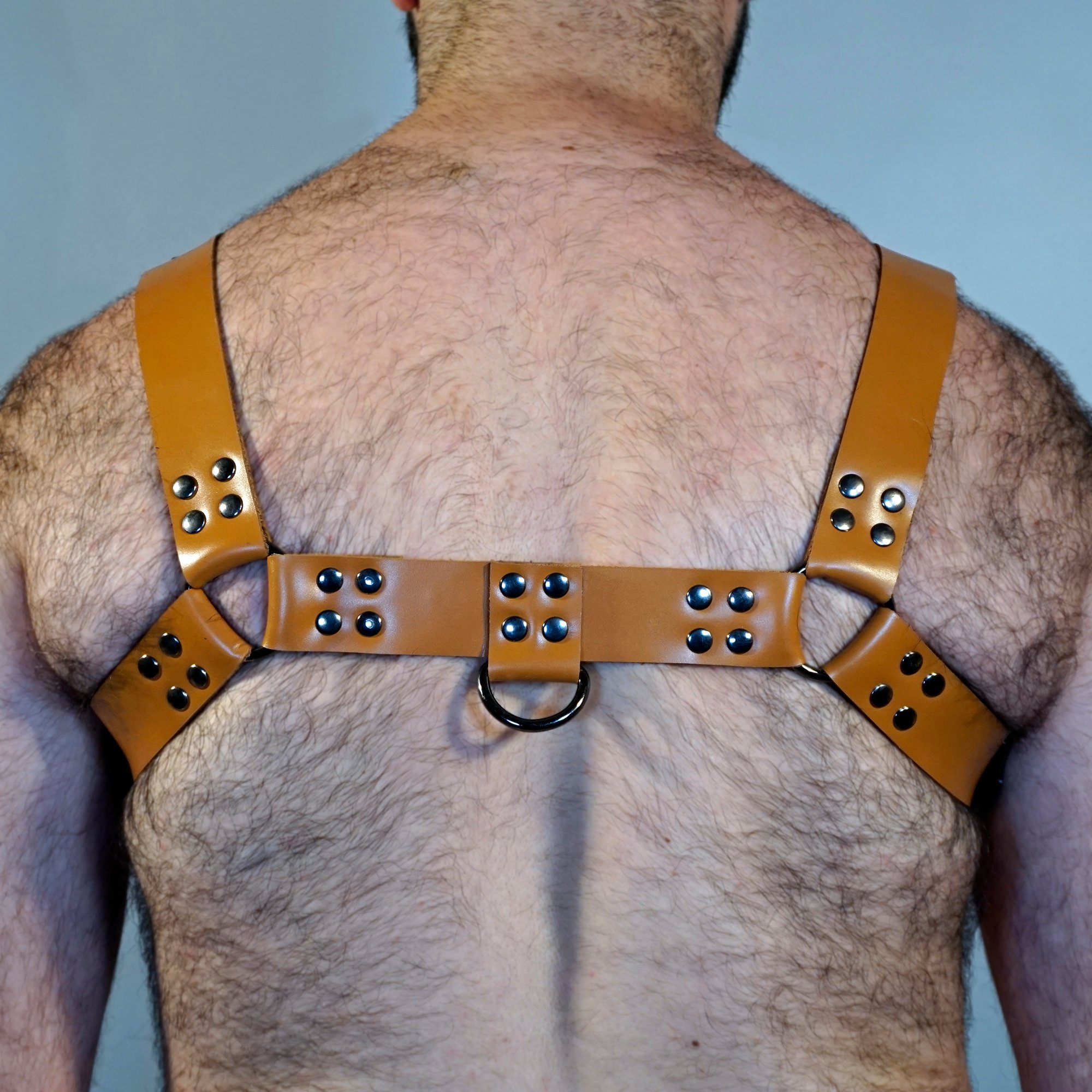 HARNESS (TABA RENGİ)