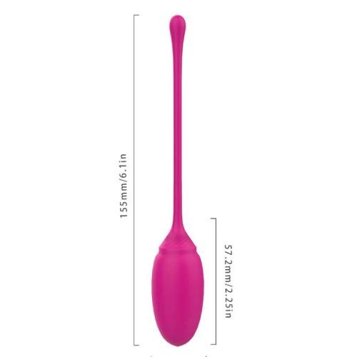 ROSE KEGEL EGZERSİZ TOP SETİ